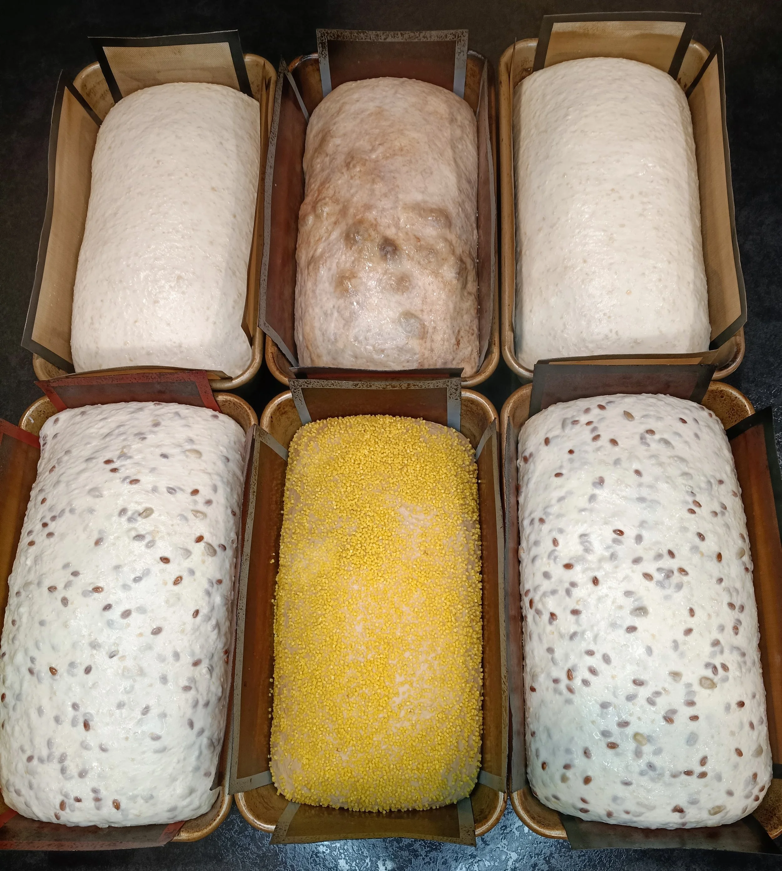 Six uncooked sourdough loaves of different flavours, classic, seeded, sultana, Marmite, in loaf tins.