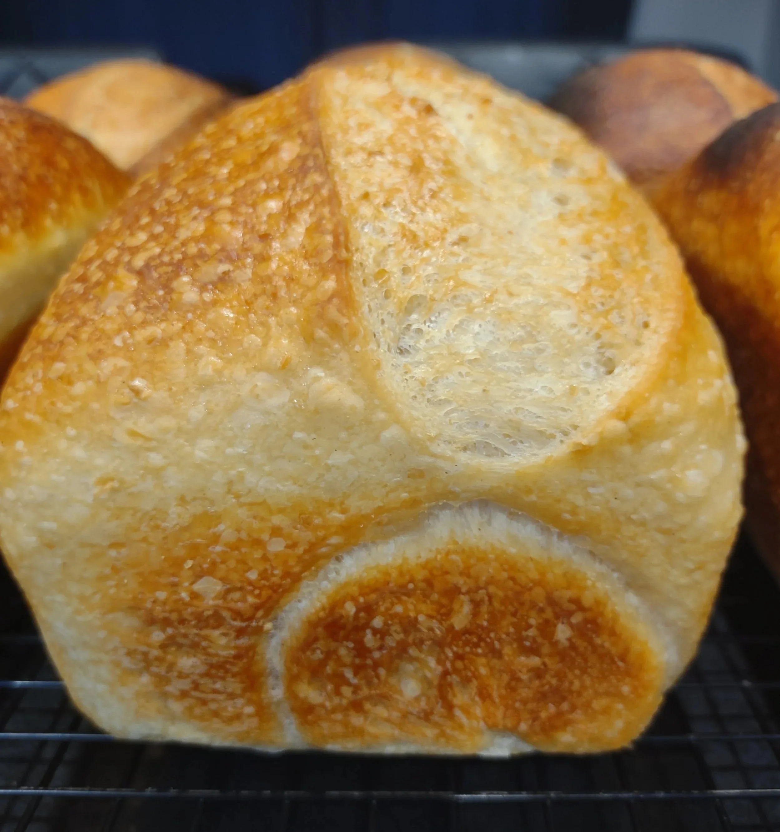 Classic Sourdough Loaf with lightly crisp golden crust,  baked fresh by Kapiti Delicious Doughs and available for delivery across the Kapiti Coast