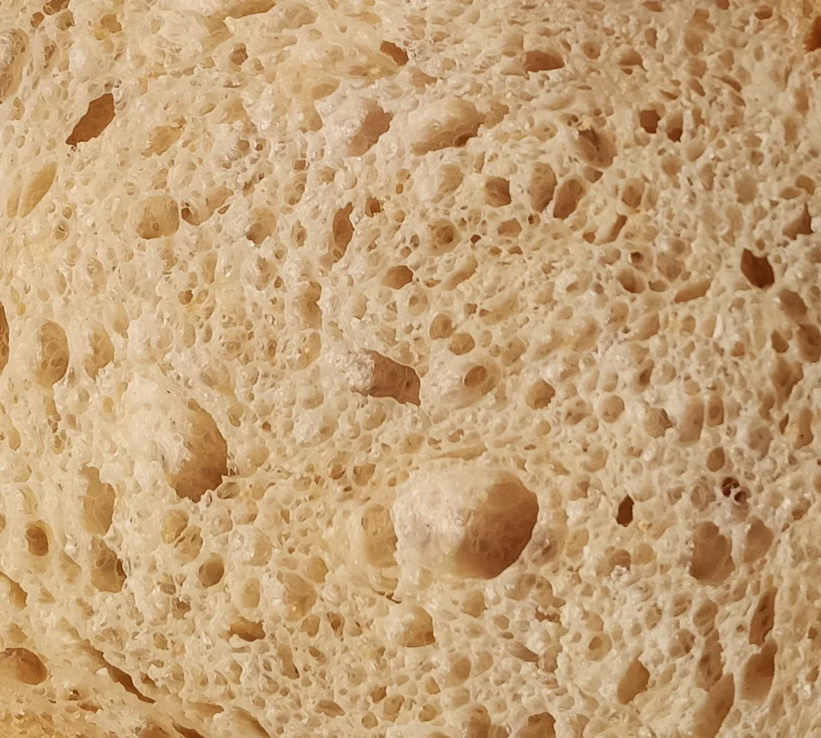 Closeup of cross cut of sourdough classic loaf showing airpocket bubbles, fermentation, gluten.