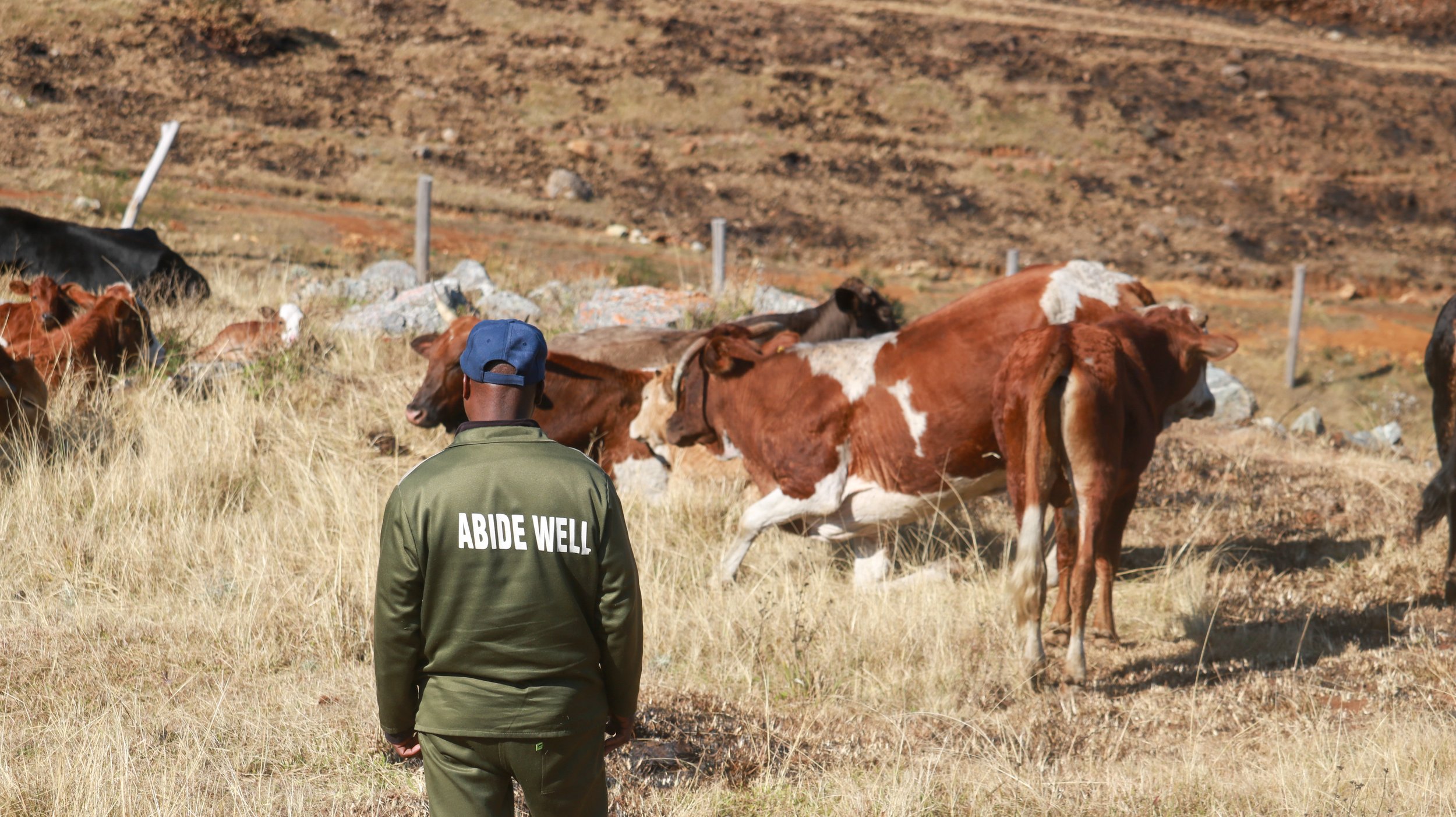 Stable and Steadfast