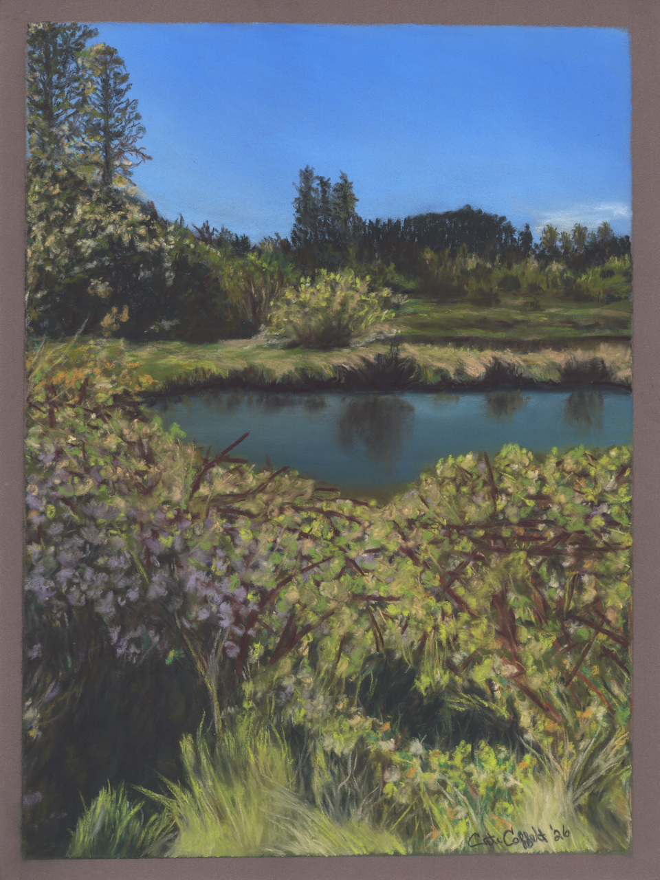 Sunny Silverdale - Soft Pastel