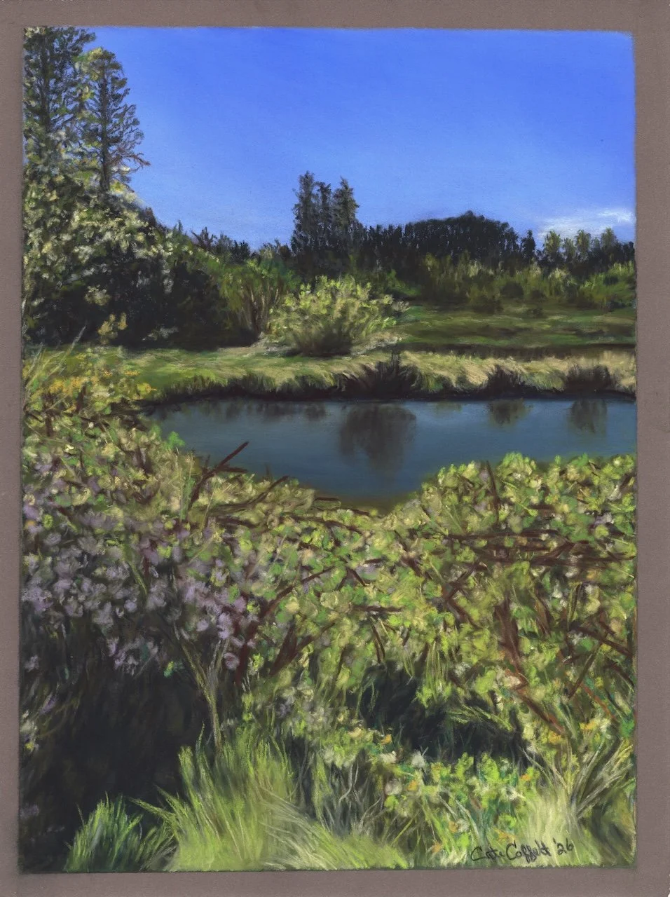 Sunny Silverdale With border copy.jpg