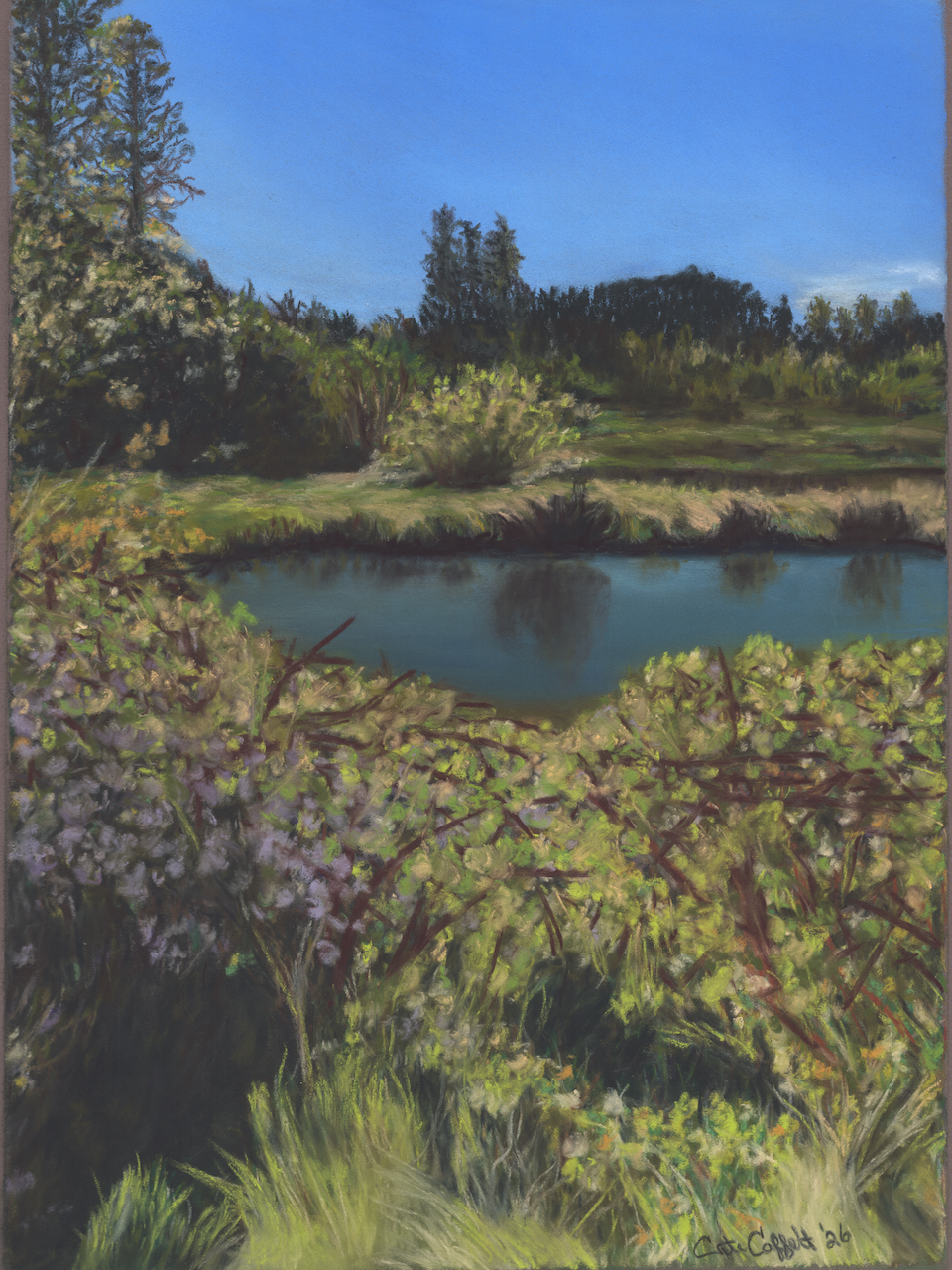 Sunny Silverdale NO border.png