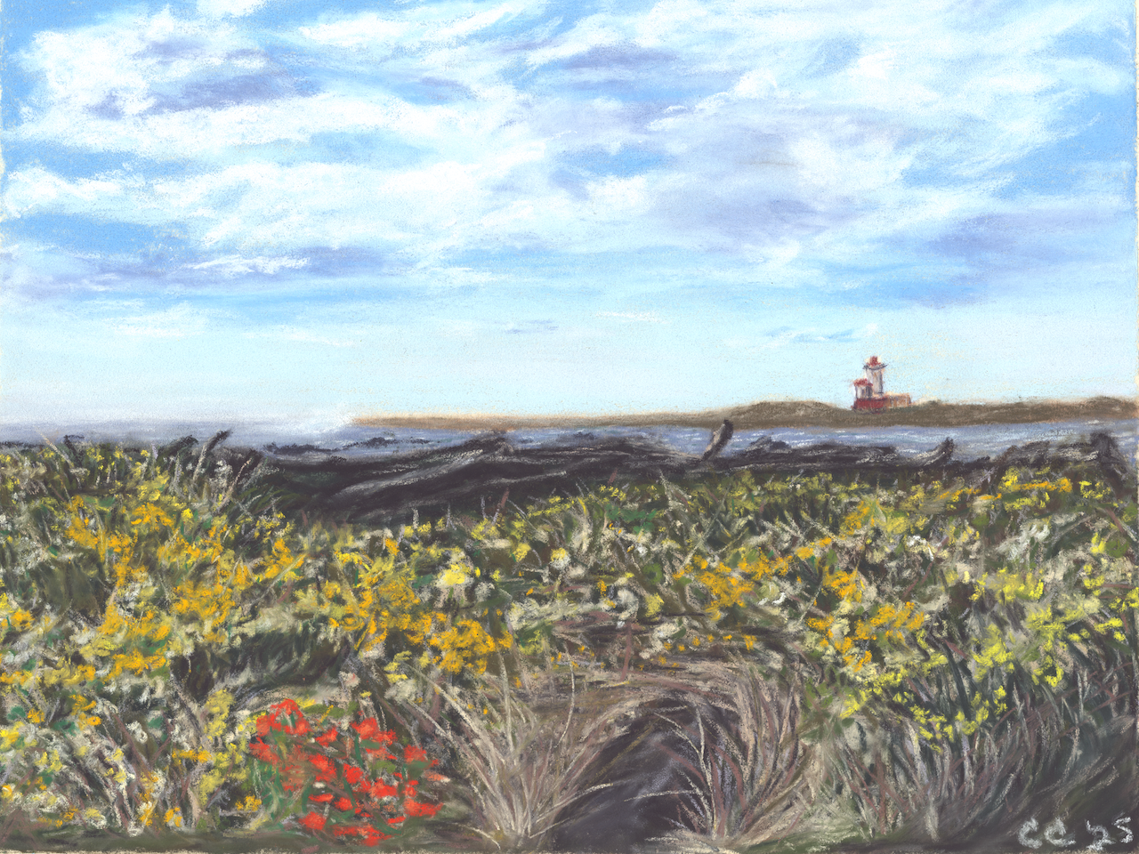 Oregon Breeze No Border.png