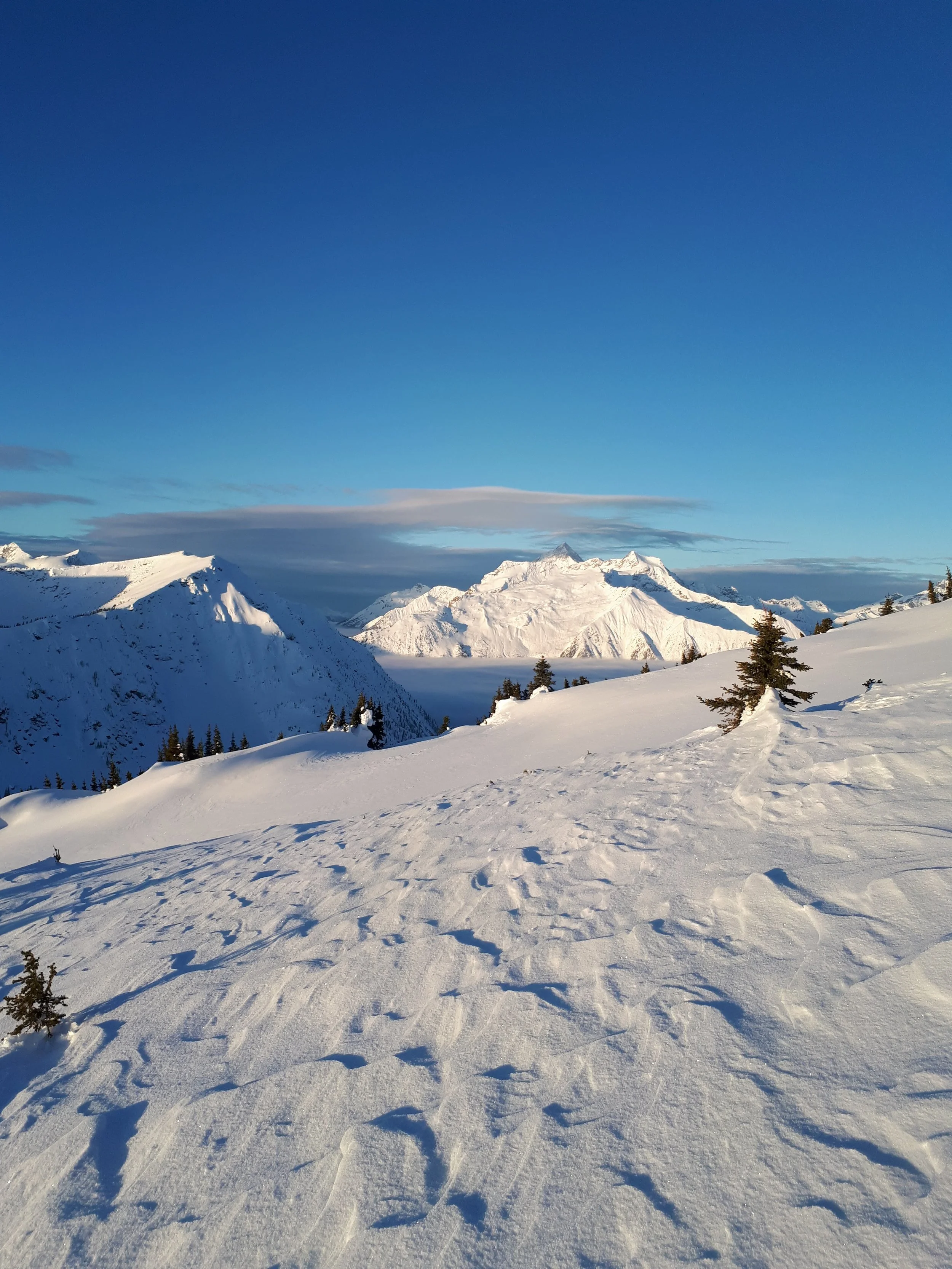 20180116_092646.jpg