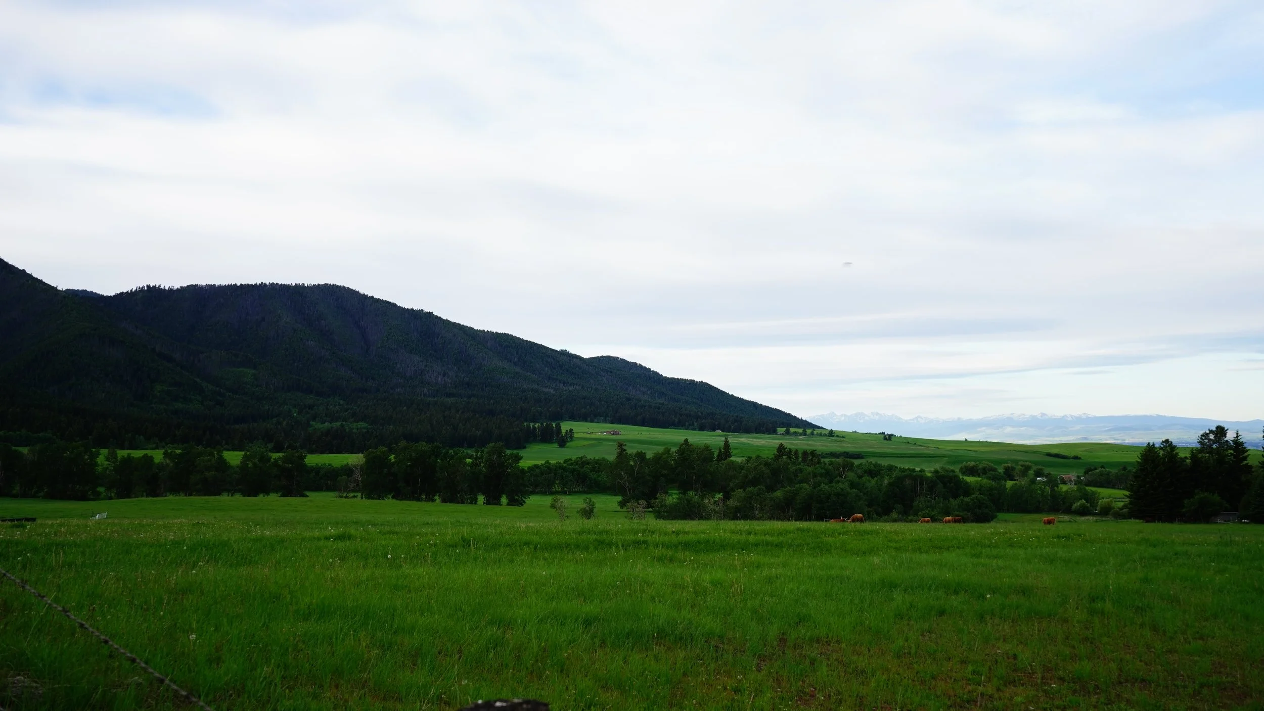 077-Bozeman-SONY ILCE-7M3-20180613.JPG