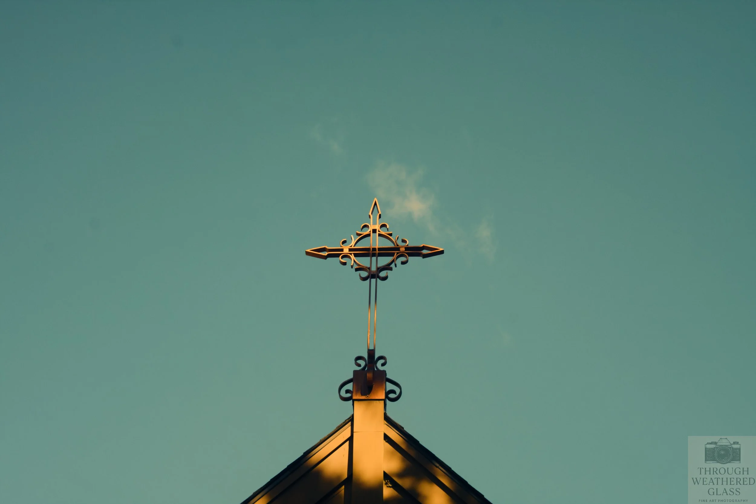 TWG_Buffalo_Photo_Drive_Oct_2025 7.jpg