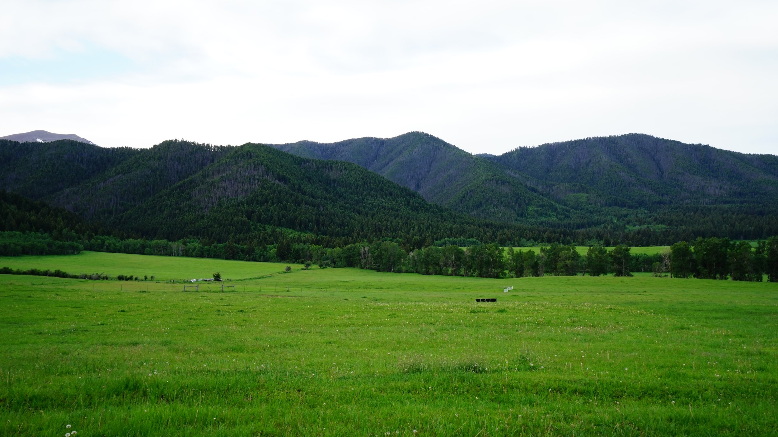 067-Bozeman-SONY ILCE-7M3-20180613.JPG