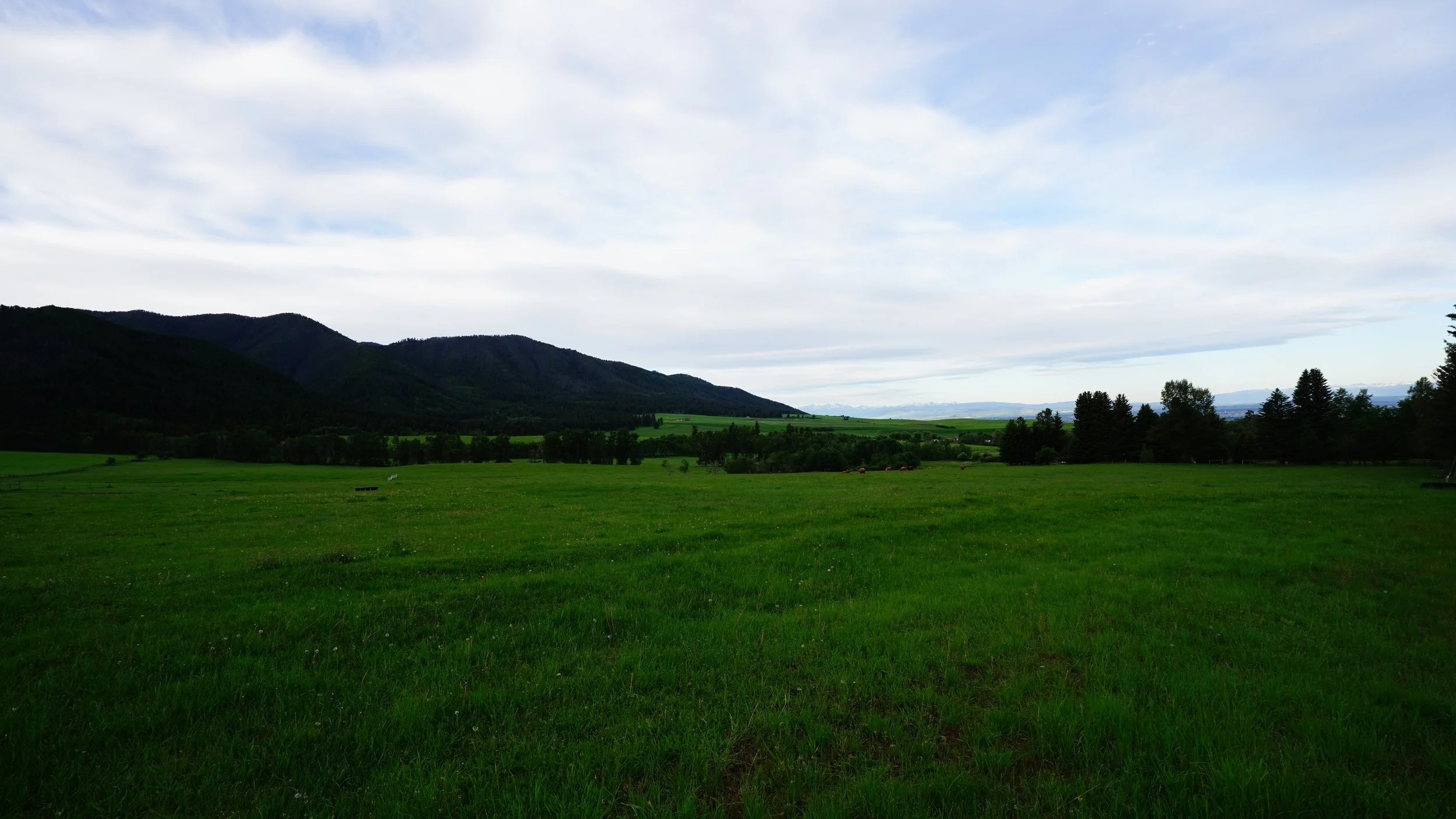 075-Bozeman-SONY ILCE-7M3-20180613.JPG