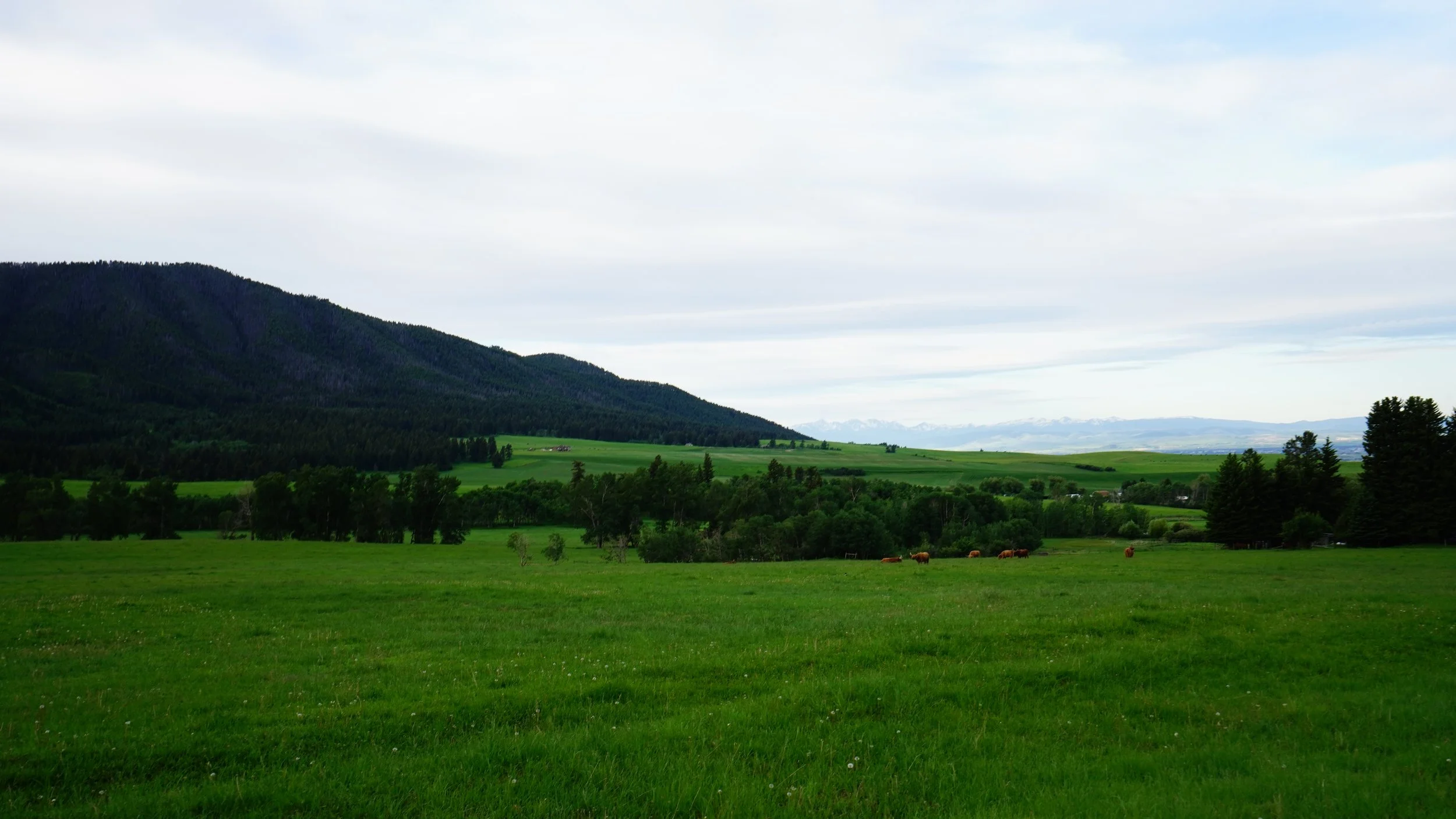 071-Bozeman-SONY ILCE-7M3-20180613.JPG