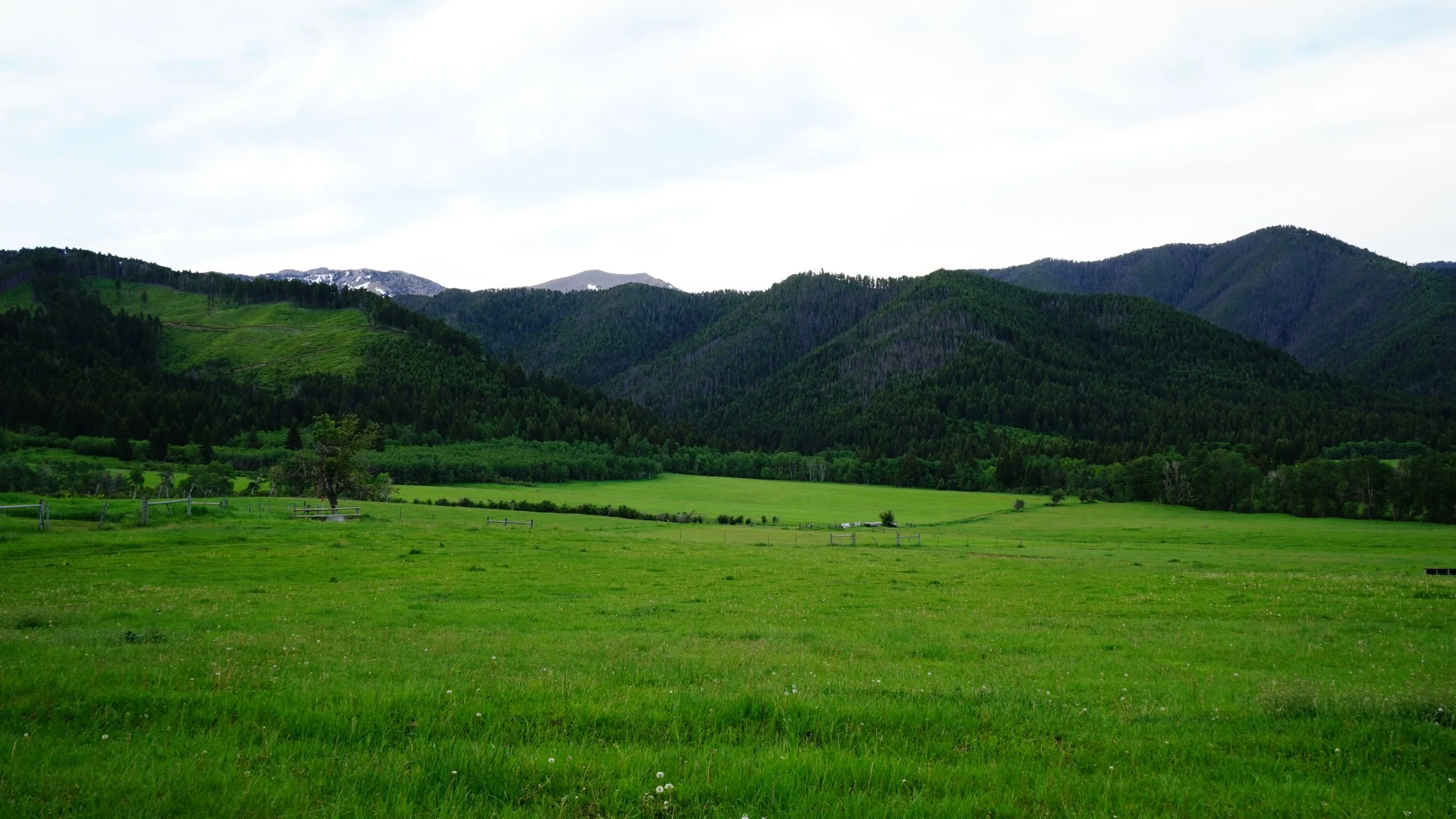 065-Bozeman-SONY ILCE-7M3-20180613.JPG