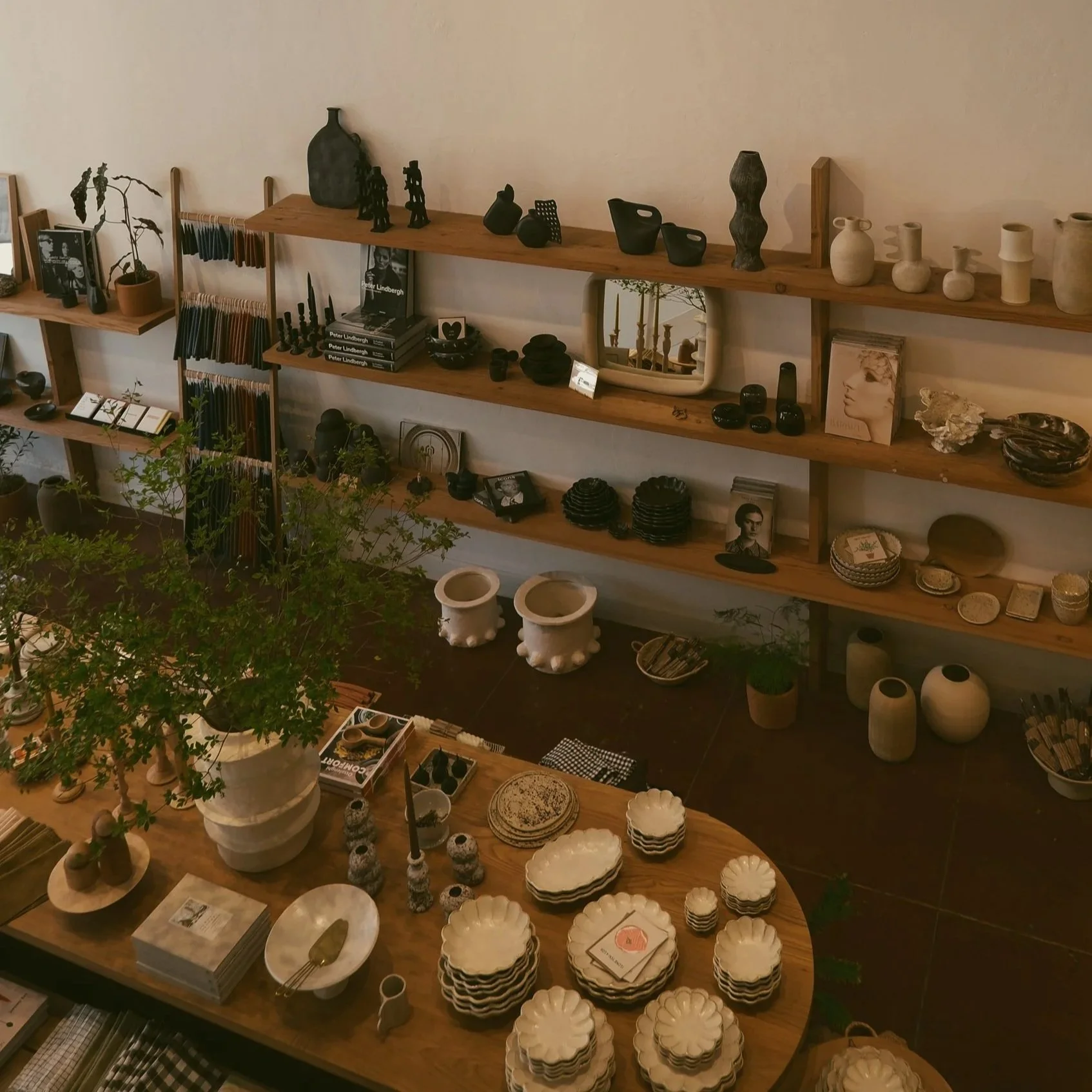 Designer showroom displaying curated furniture, accessories, and decorative objects