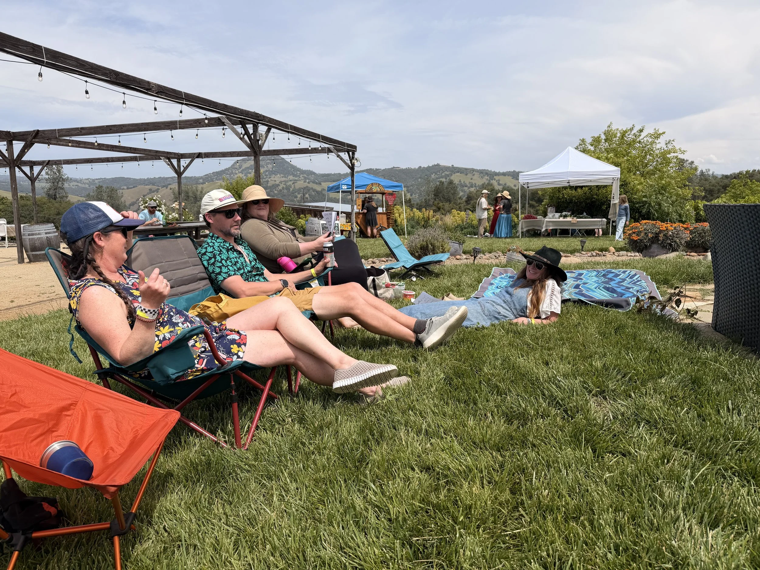 Festival goers