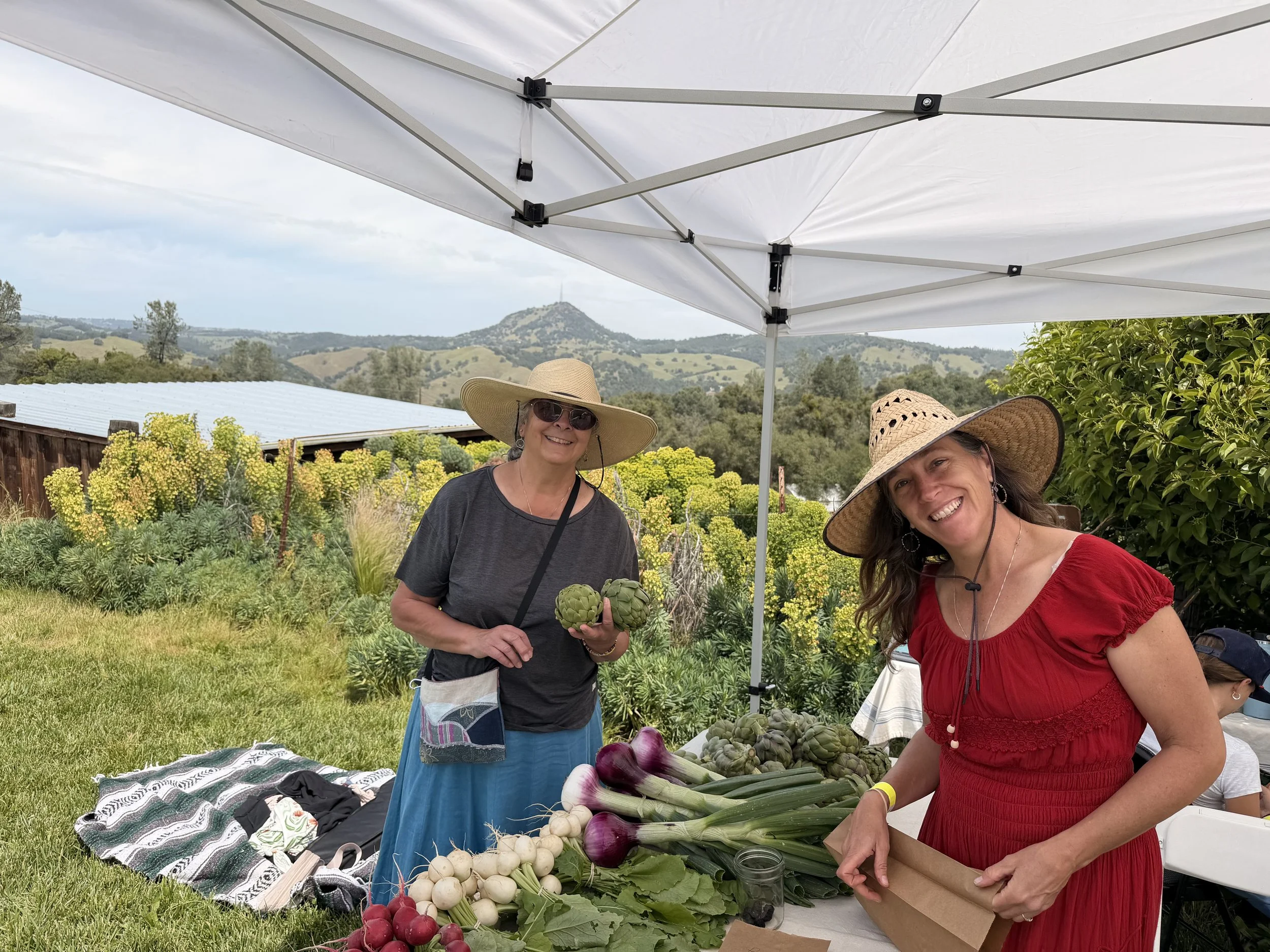 Farm stand