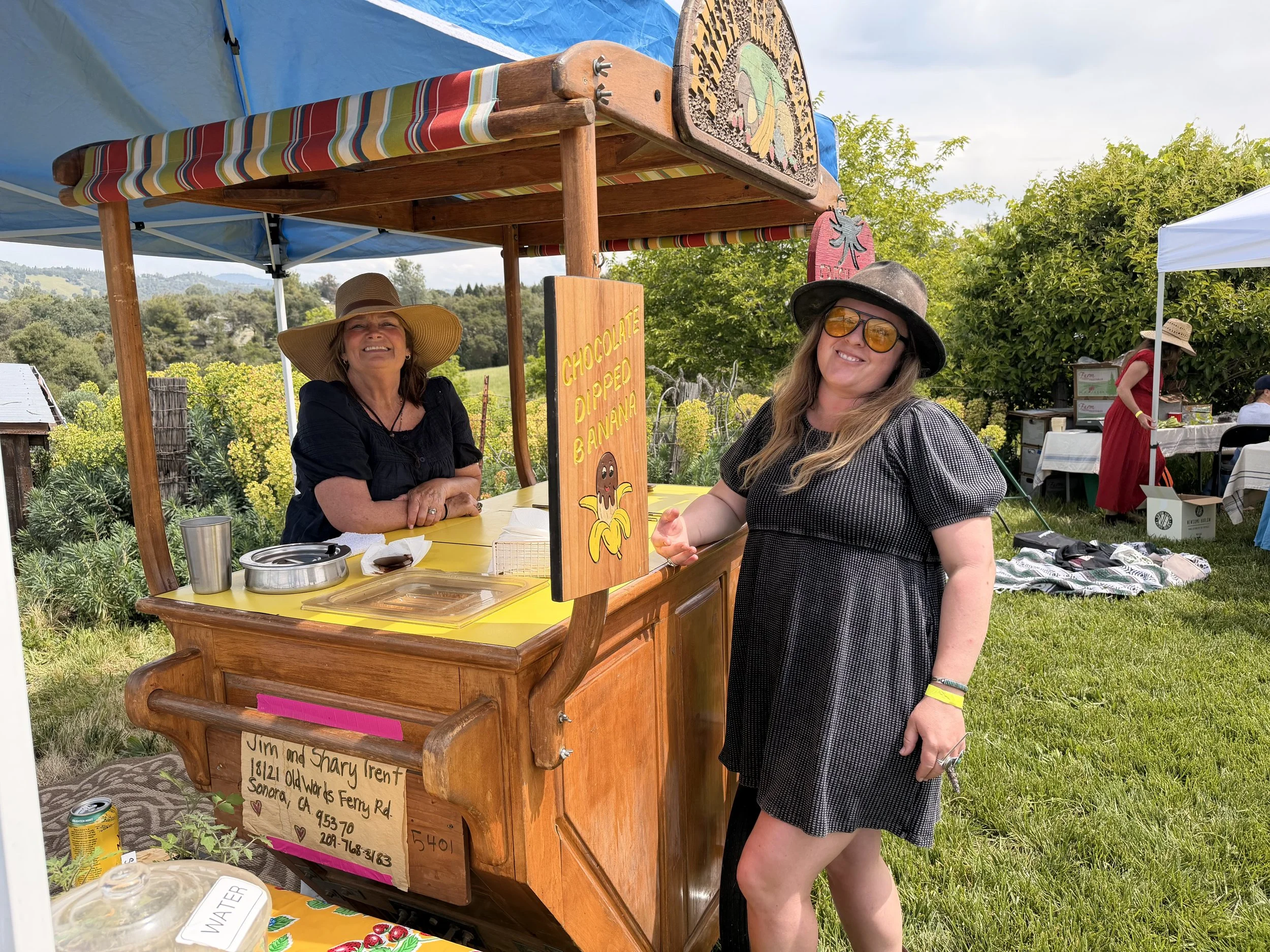 Popsicle cart
