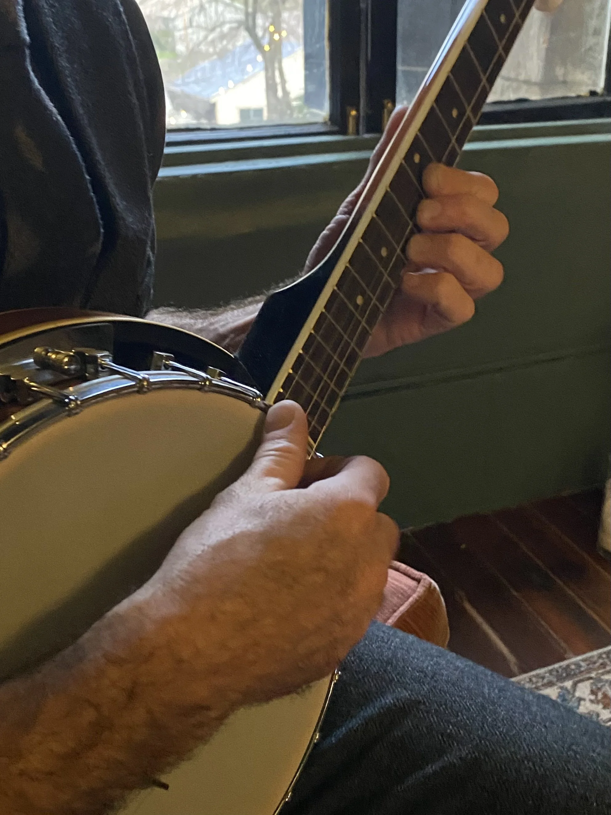 Close-up of a person holding and playing a banjo near a window with trees outside.