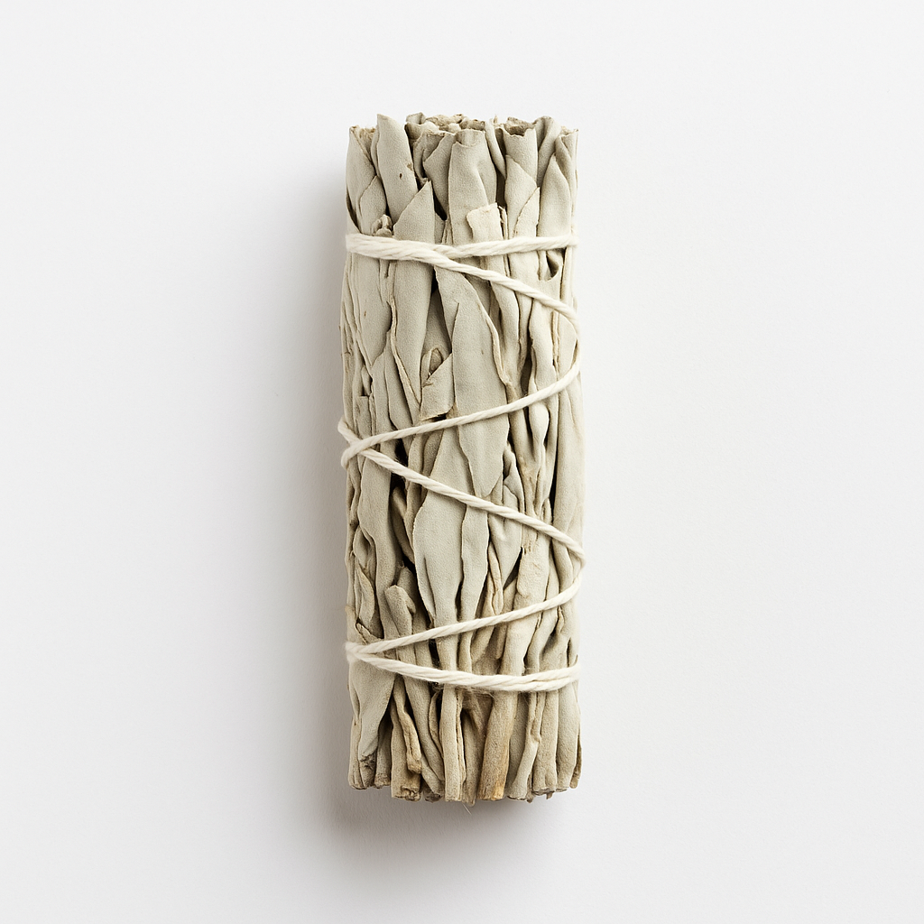 ChatGPT Image Oct 11, 2025, 03_13_36 PM.png