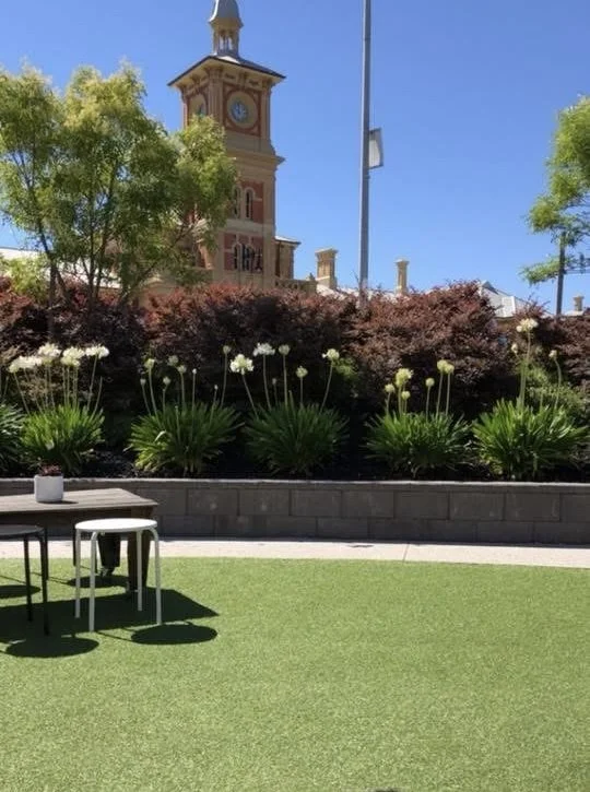 City park with a grassy area, outdoor tables, and a landscaped flower bed with white flowering plants. A clock tower and trees are in the background, under a clear blue sky.