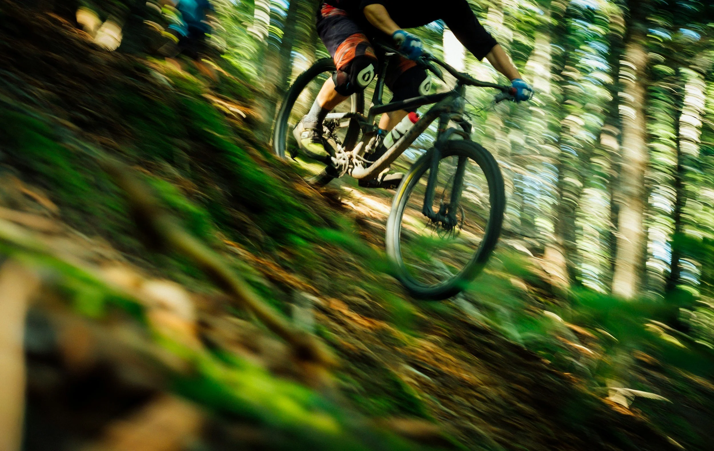 A person riding a mountain bike down a forest trail, surrounded by tall trees and green foliage, with motion blur indicating high speed.