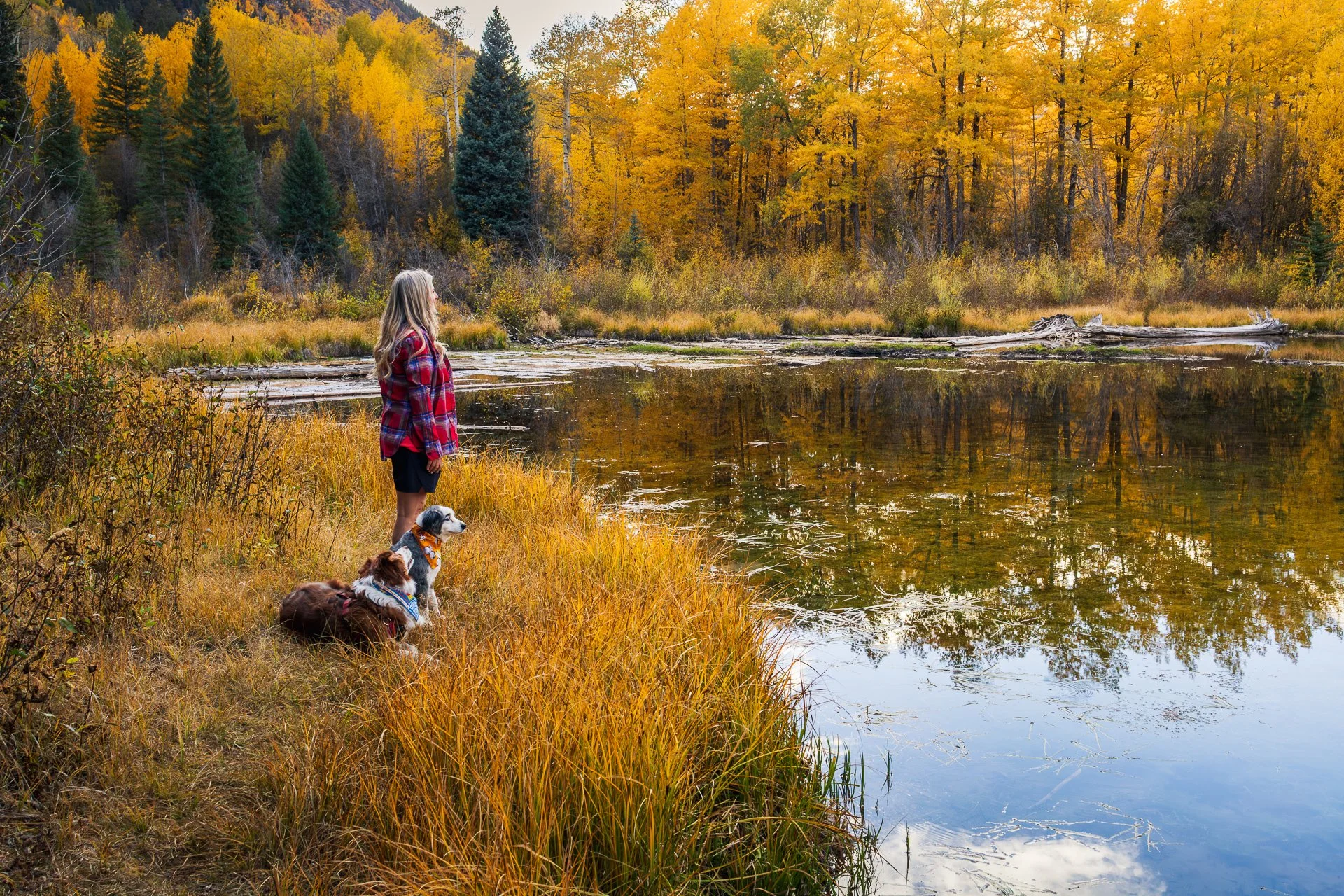 Chasing Gold in Leadville