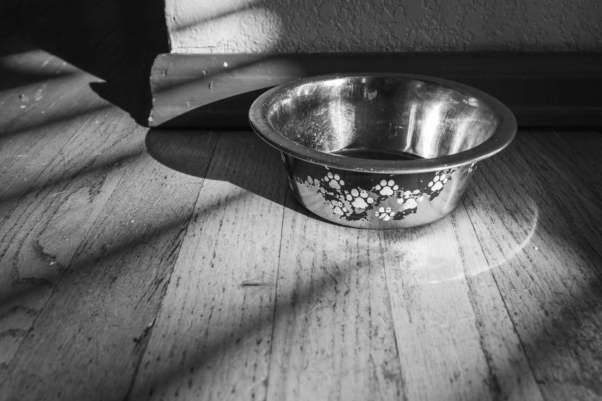 _112225-2.jpg
