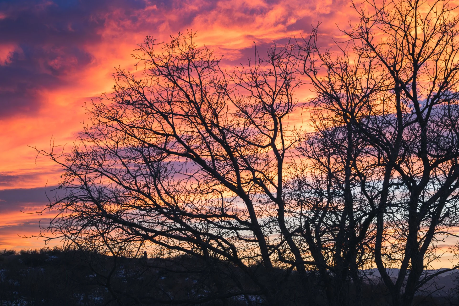 Sunset Silhouette