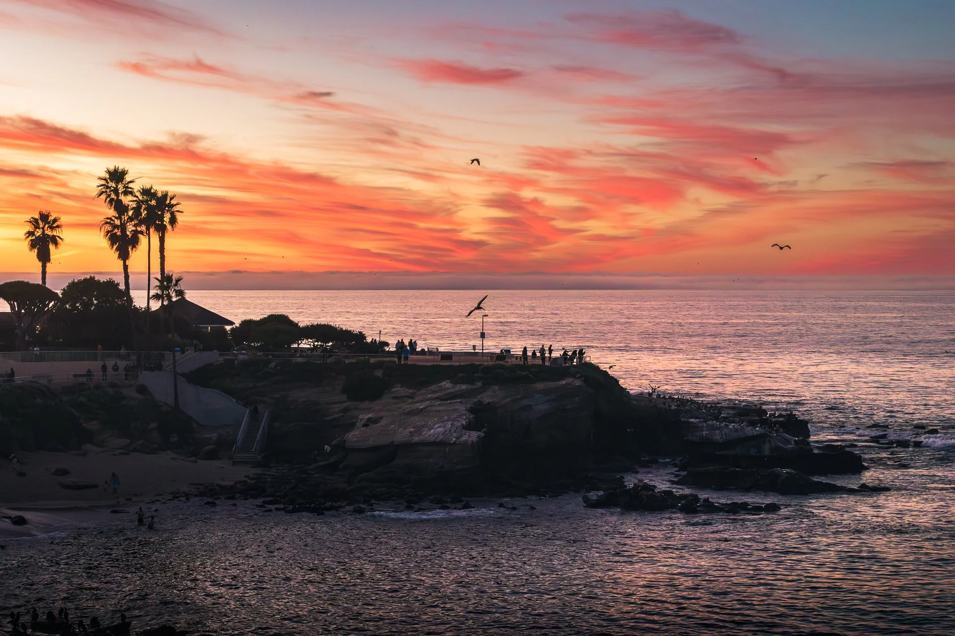 011626-La Jolla Cove-Social-Chiapas-Social-8.jpg