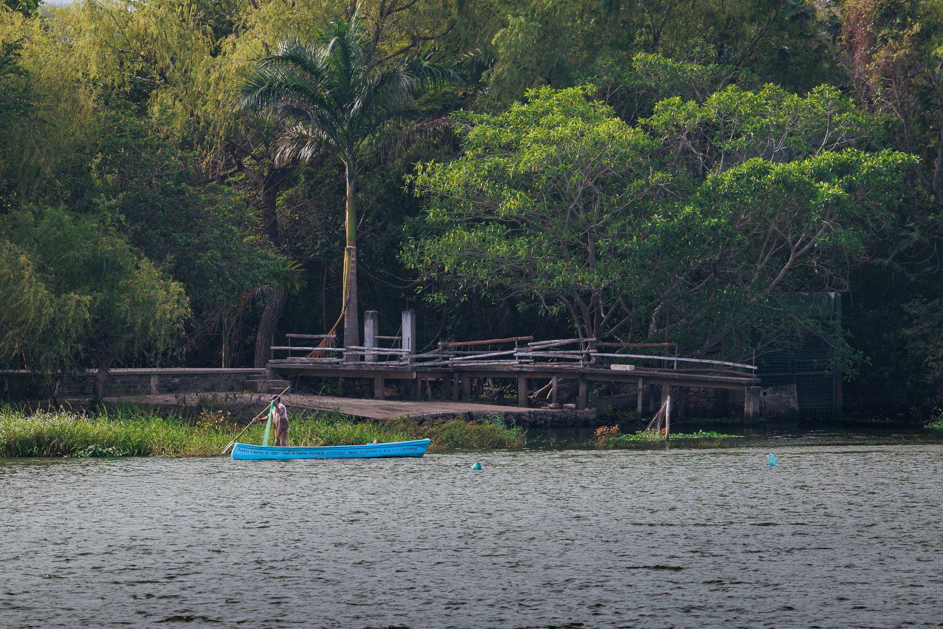 012026-Canon Del Sumidero-Social.jpg