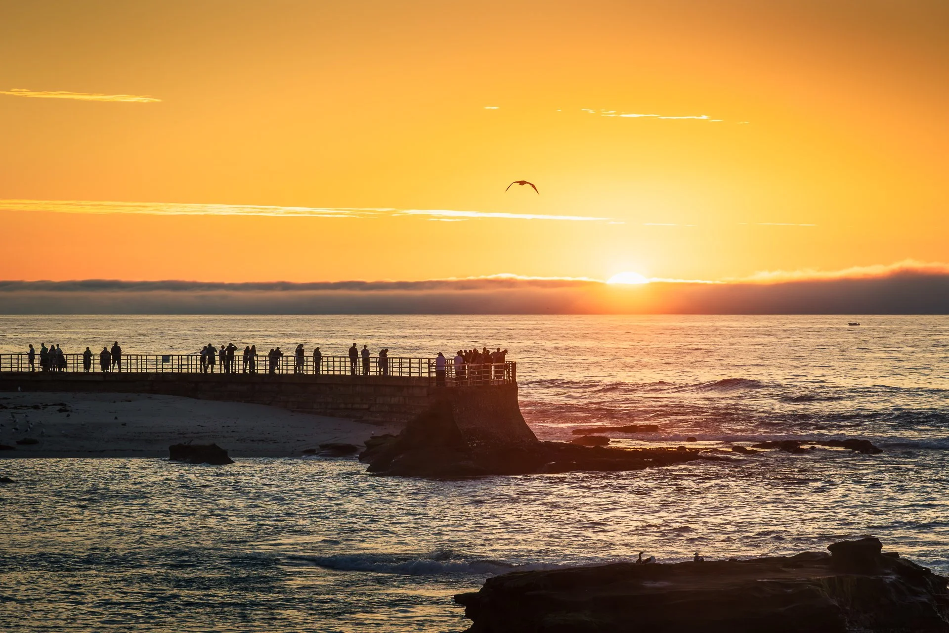 011626-La Jolla Cove-Social-Chiapas-Social-2.jpg
