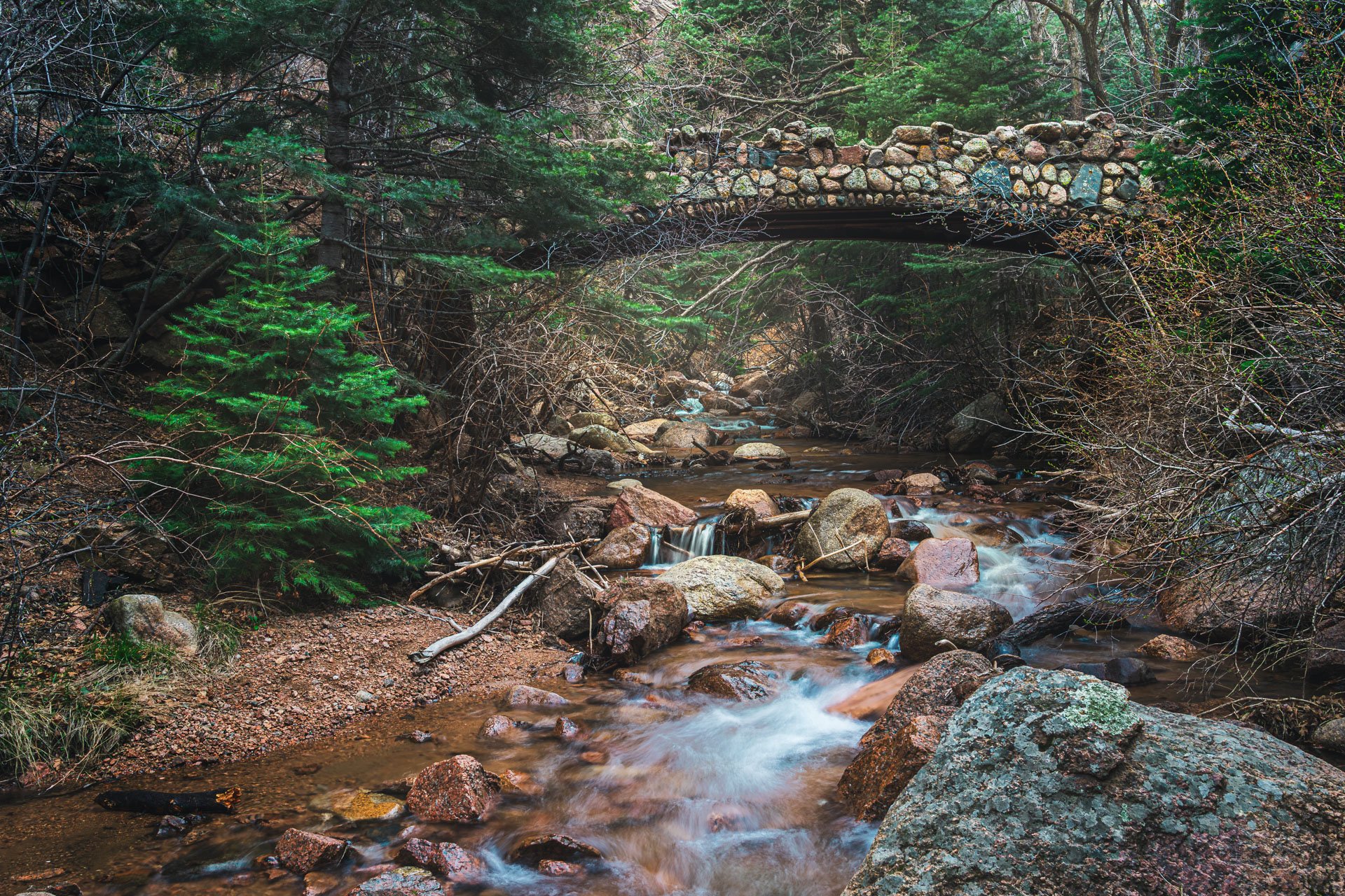Cheyenne_Canyon_032726_1236.jpg
