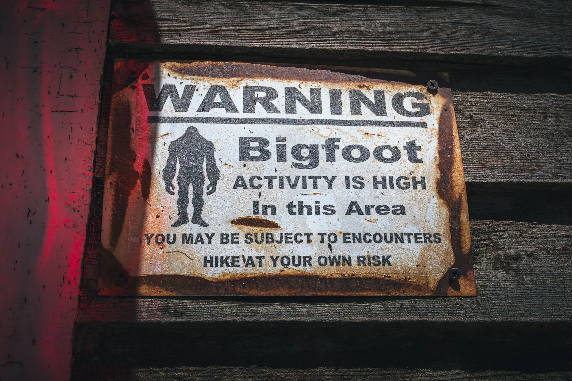 You’ve Been Warned