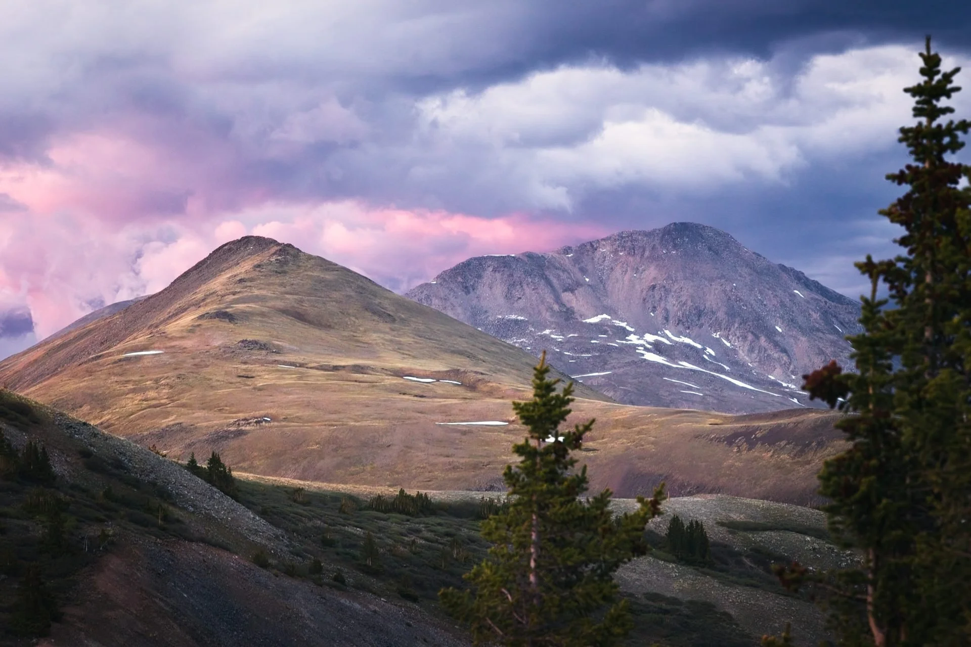 Cottonwood Pass-St. Elmo061426_0062.jpg