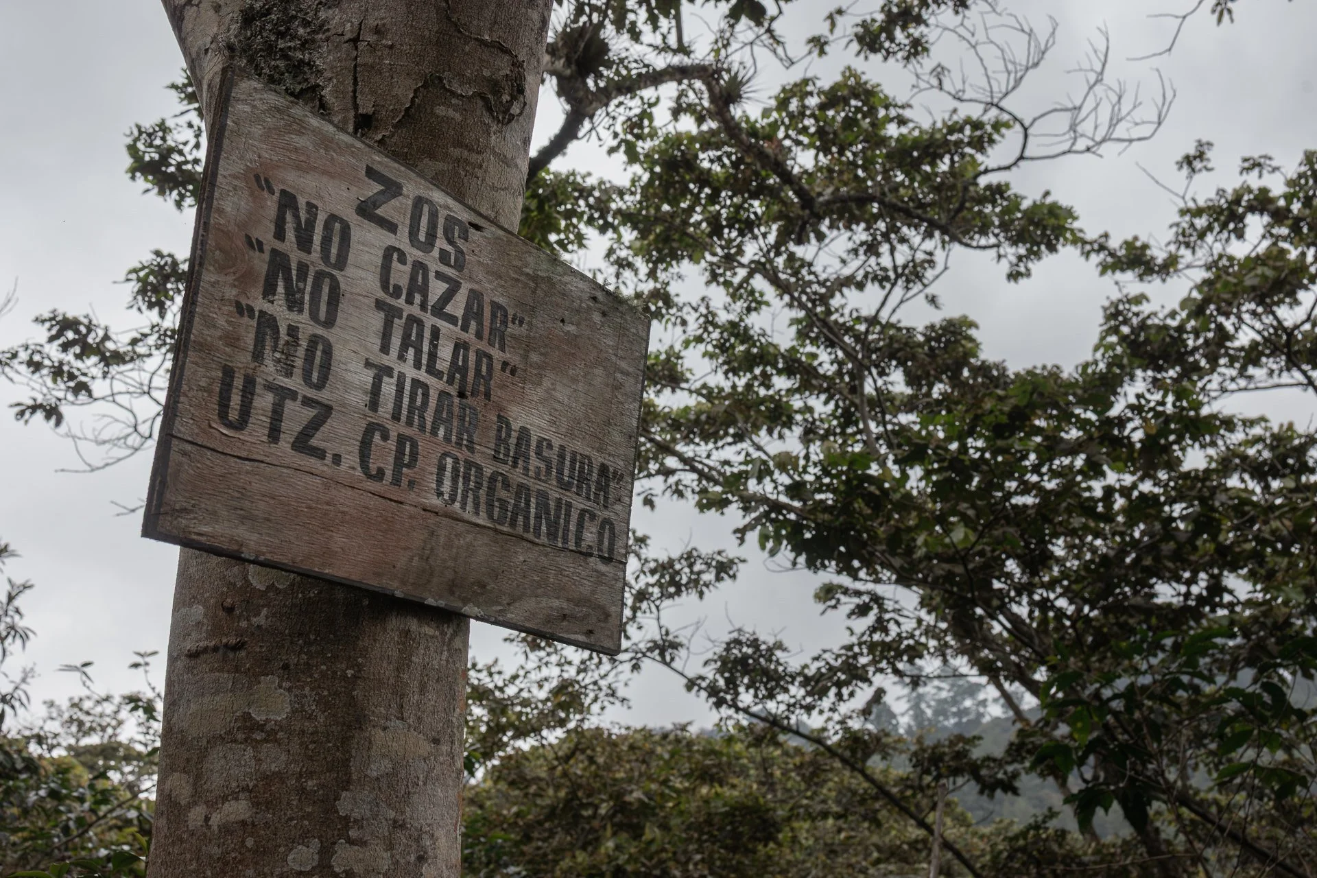 A wooden sign in a Chiapas coffee field reading “No hunting, no cutting, no trash,” showing the land is protected.