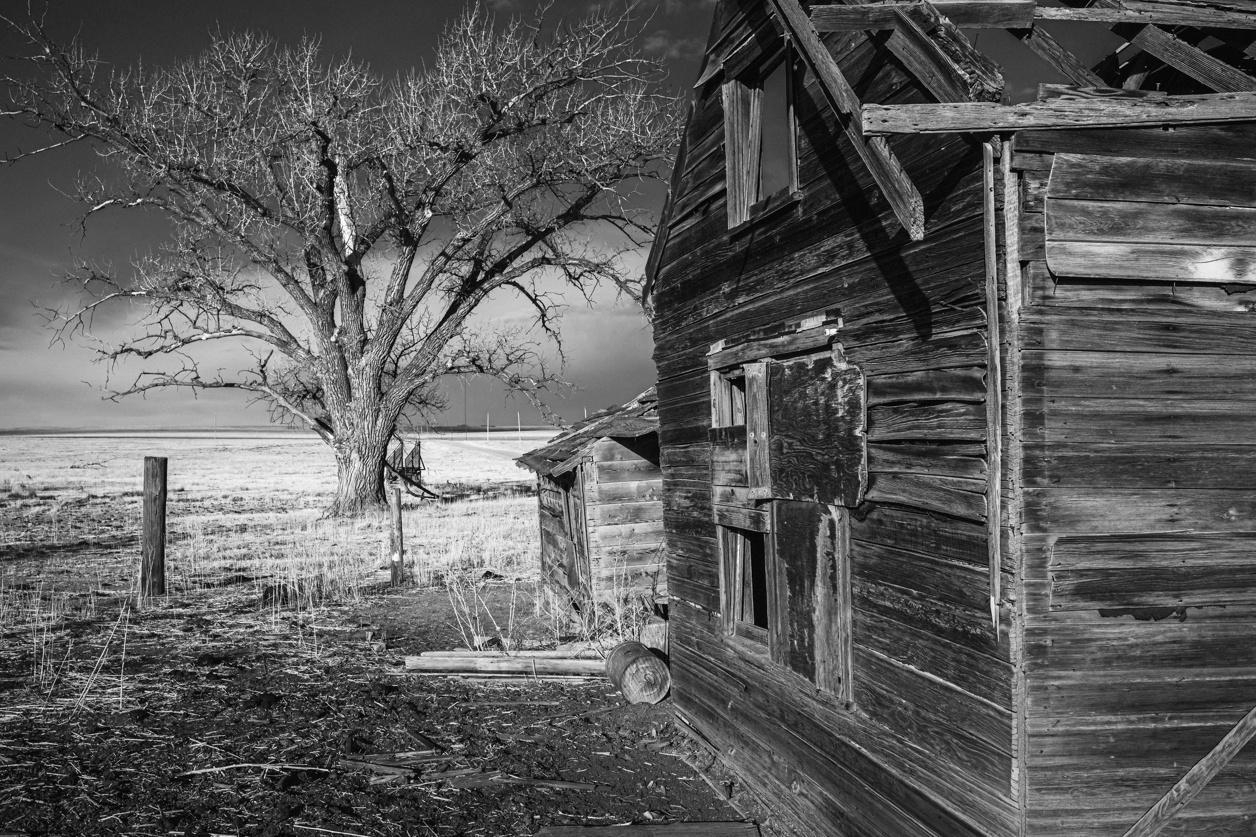 Eastern Plains_022026_0895.jpg