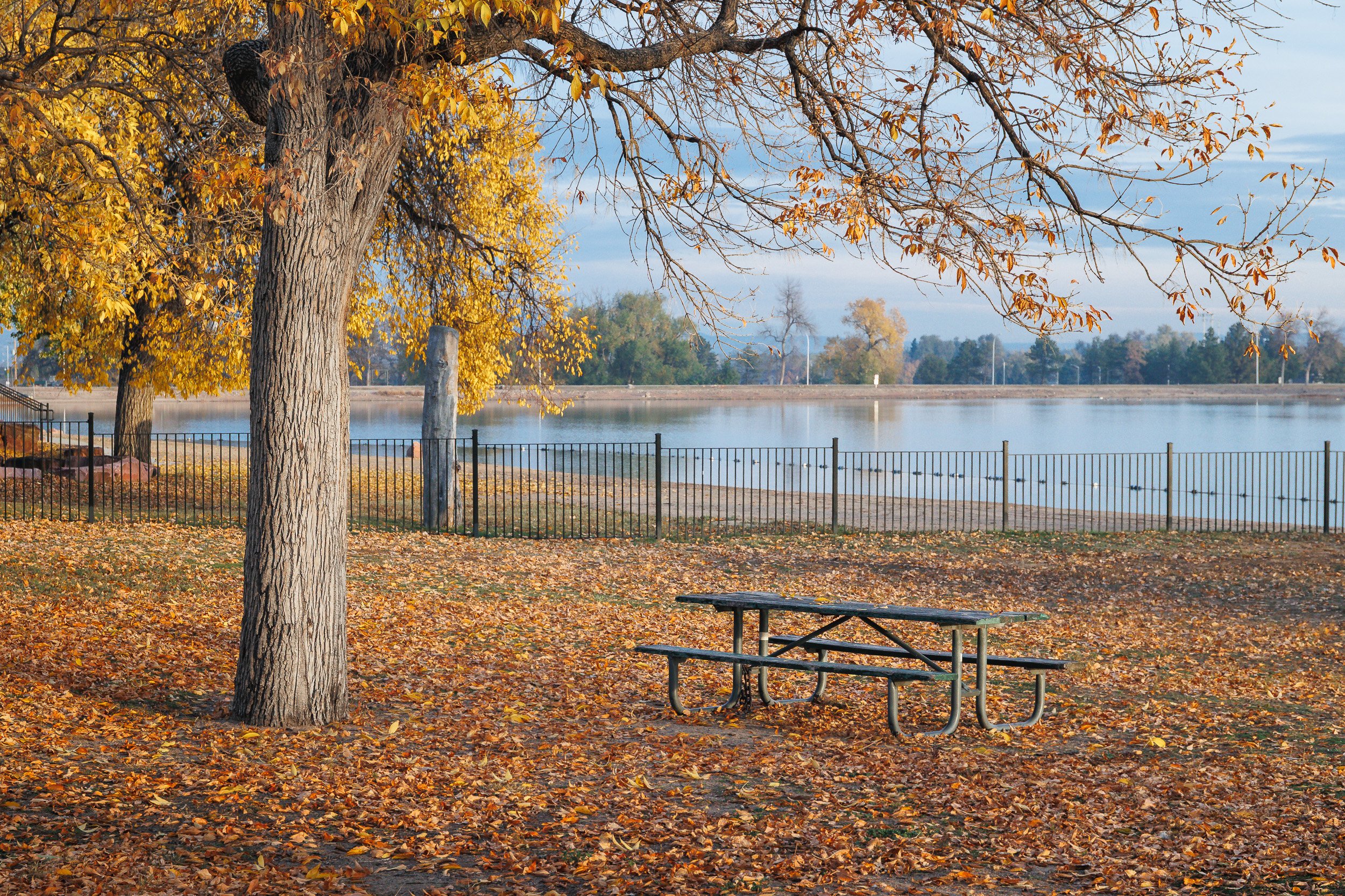 Steve Eller Photography - Portfolio-08.jpg