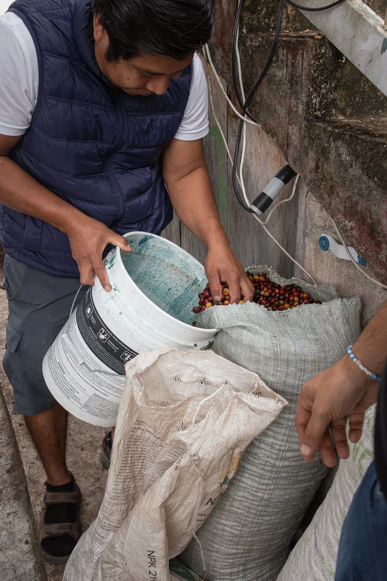 011826_Coffee Farm_Social-30.jpg