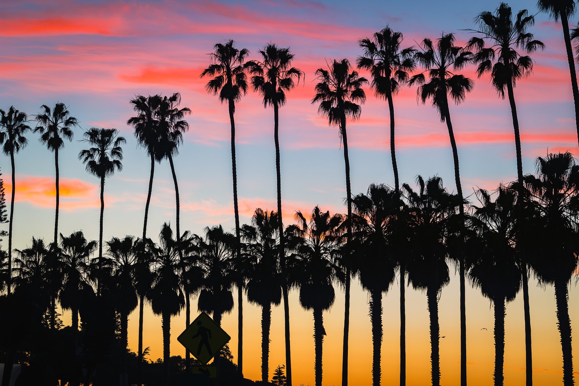 011626-La Jolla-Social.jpg