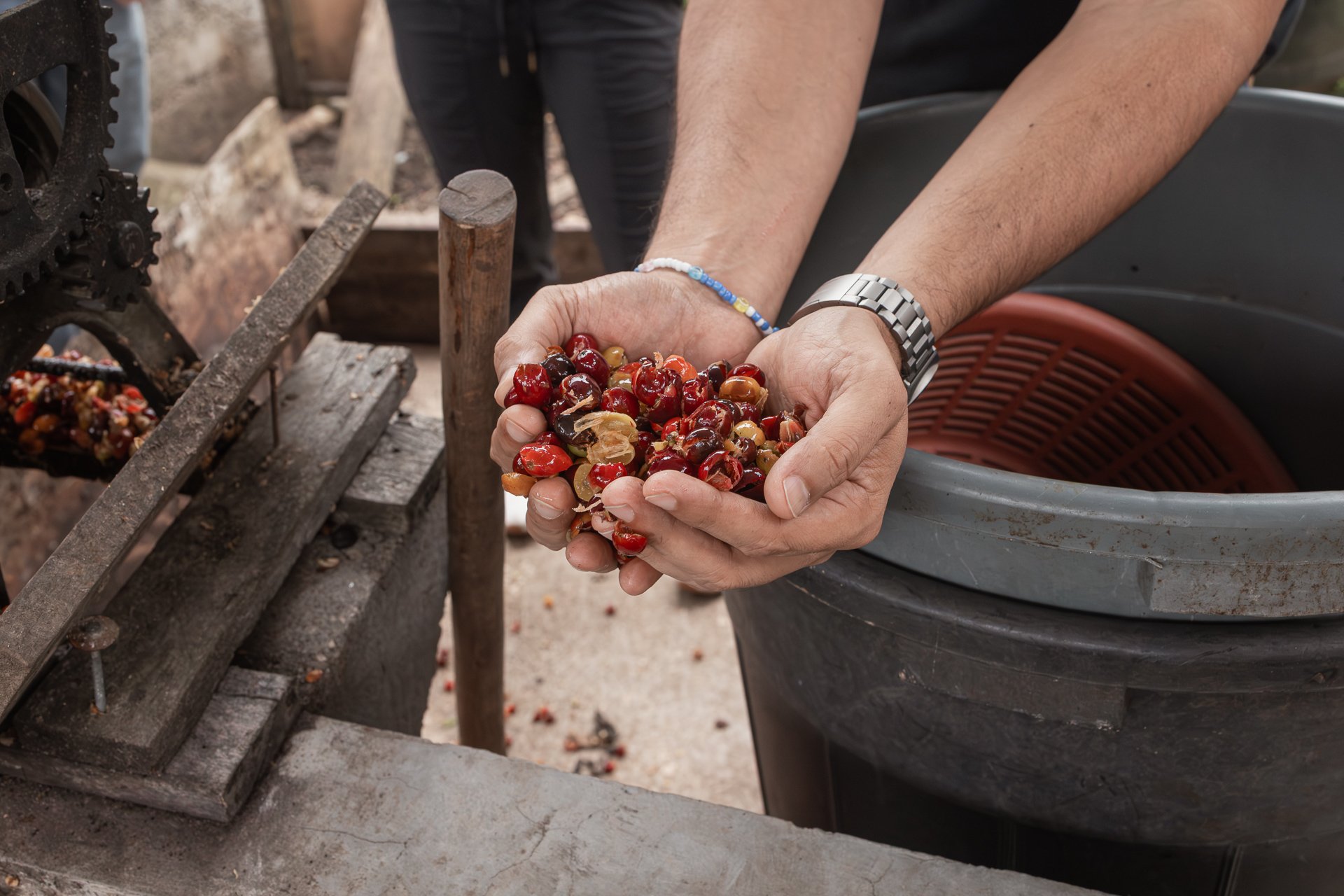 011826_Coffee Farm_Social-31.jpg