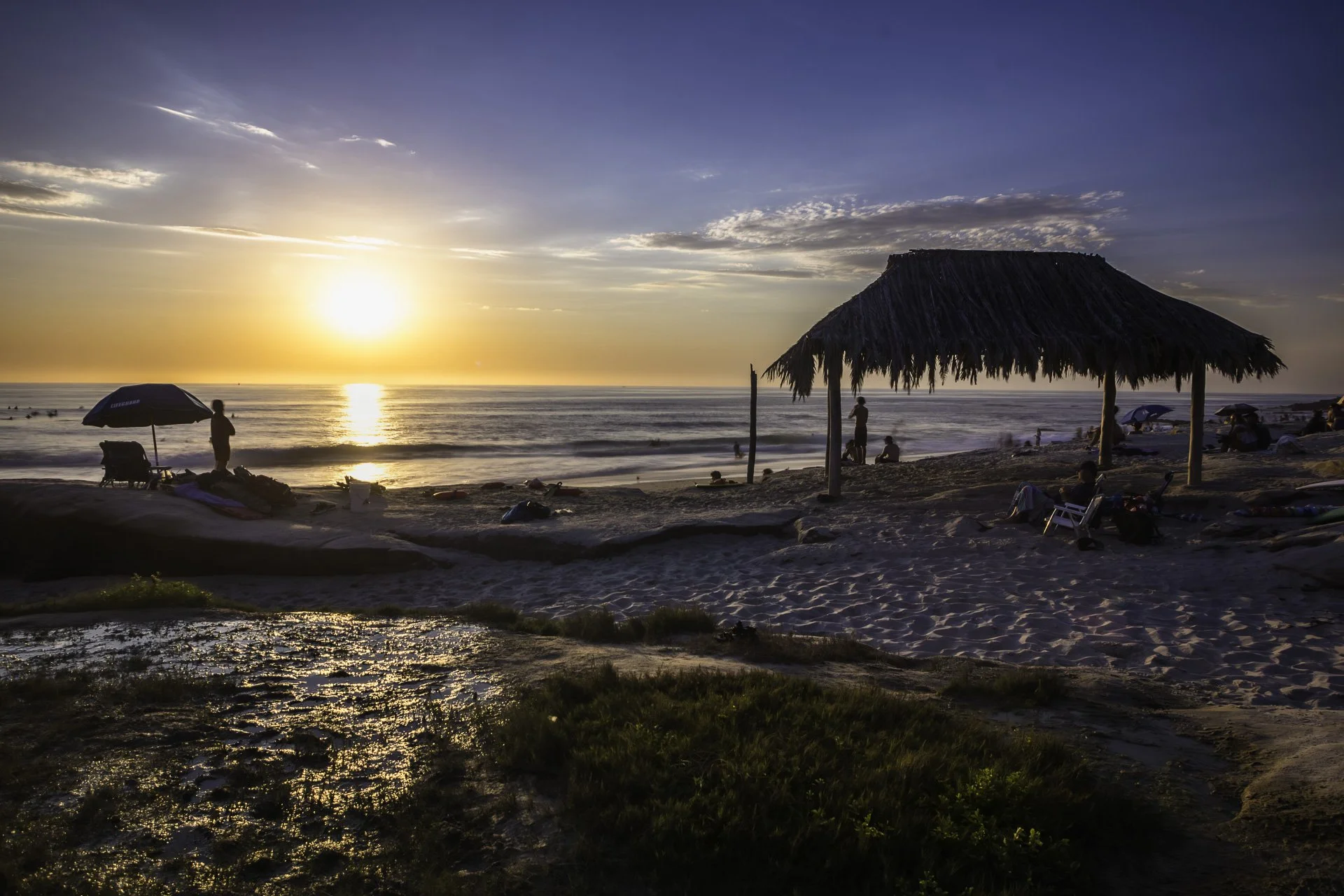 Beachfront Property.jpg