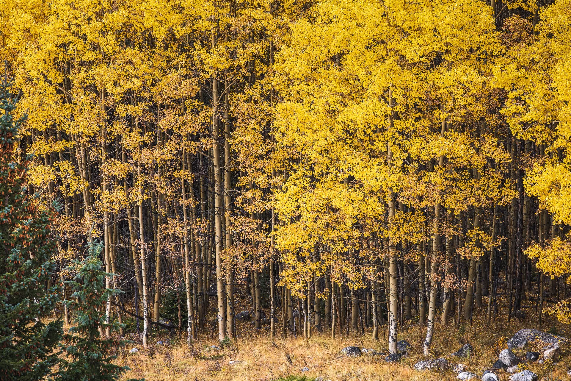 _092925-Social Render-9.jpg