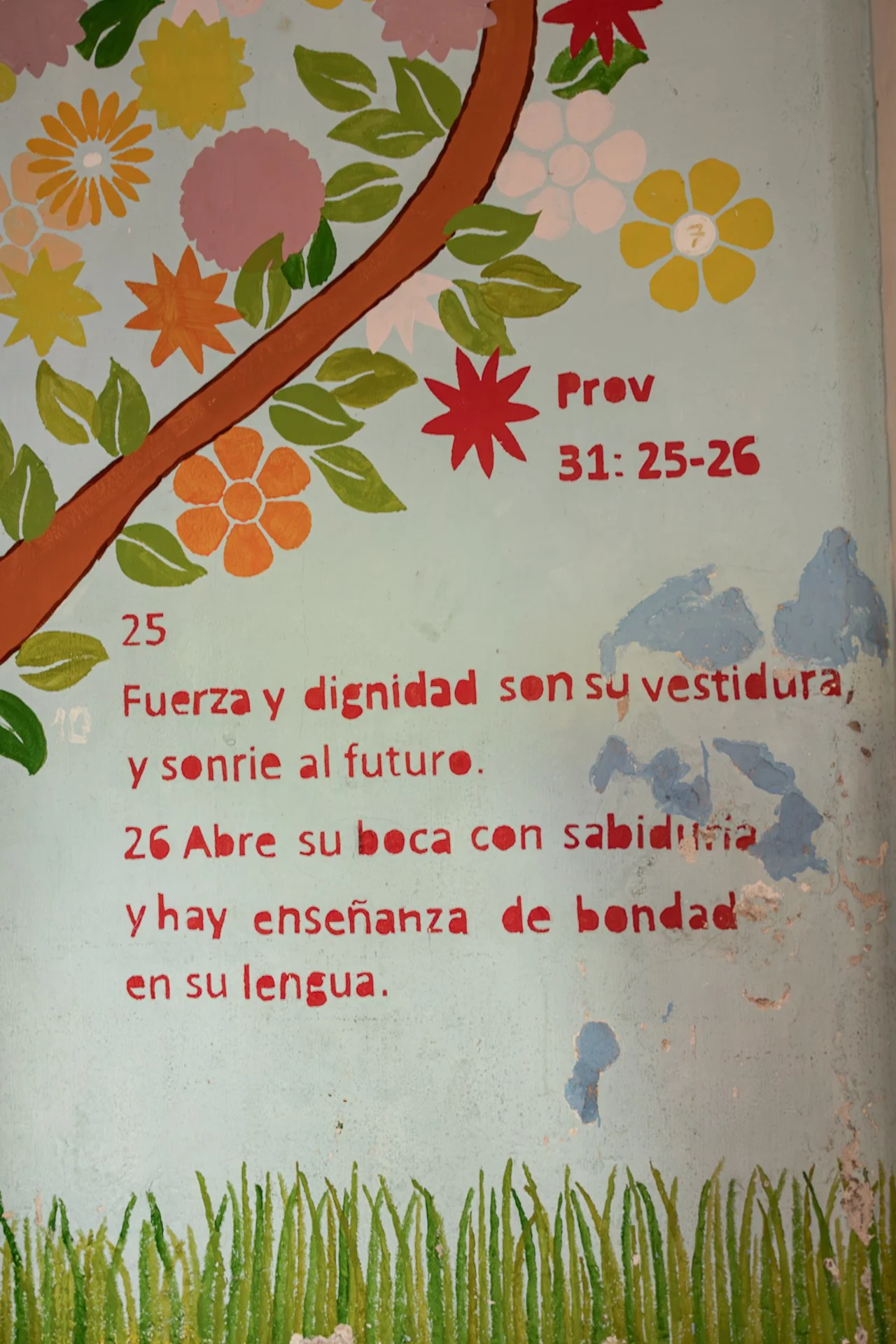 012026-Alegre Casa Hogar-Social-28.jpg