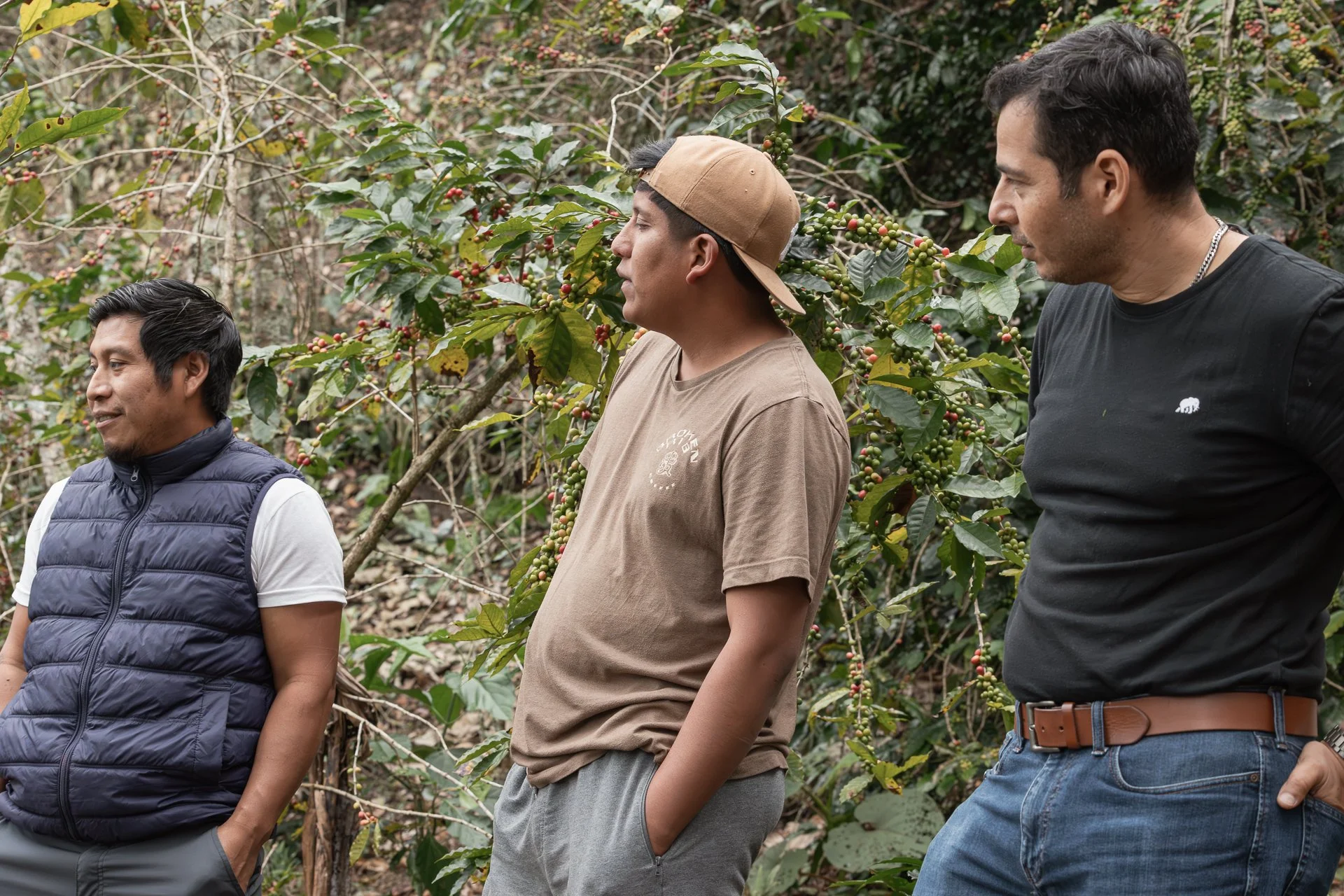 011826_Coffee Farm_Social-16.jpg