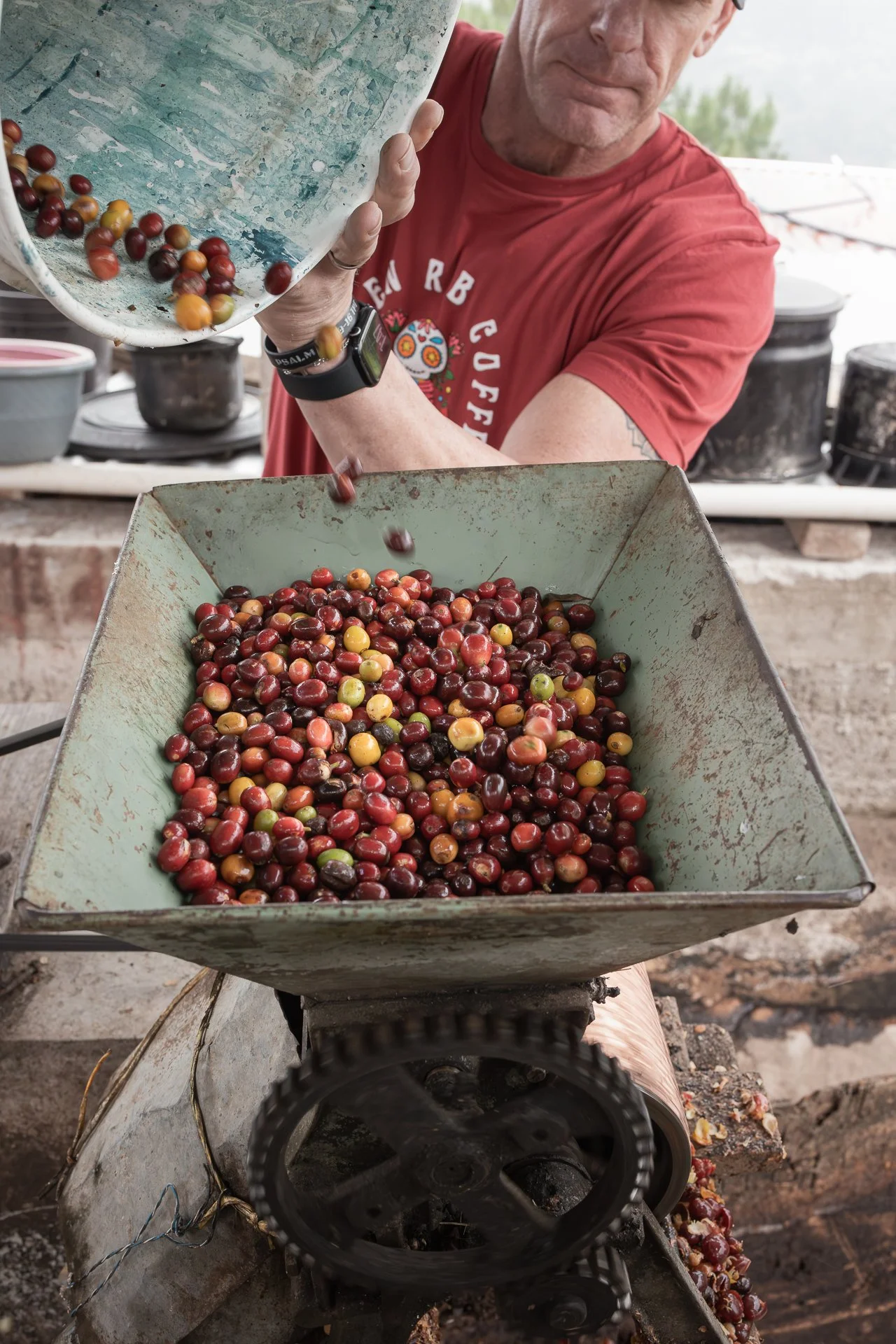 011826_Coffee Farm_Social-41.jpg