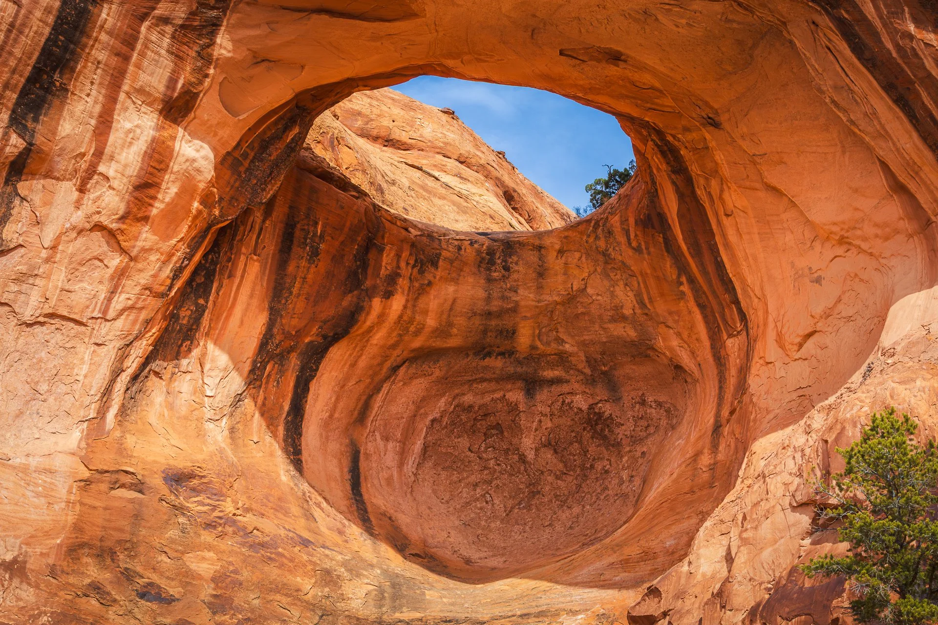 Bwtie Arch_021625.jpg