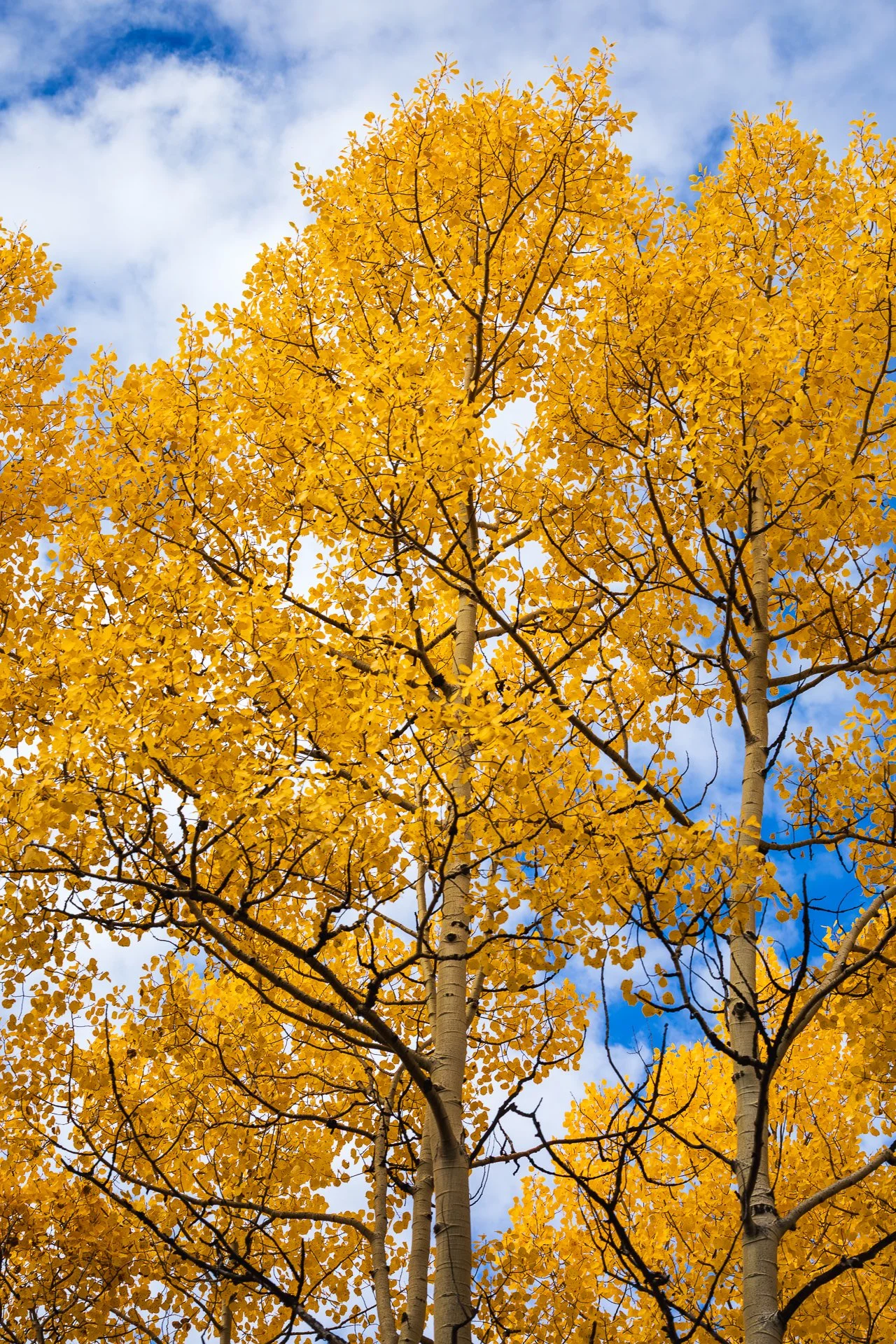 _092925-Social Render-12.jpg