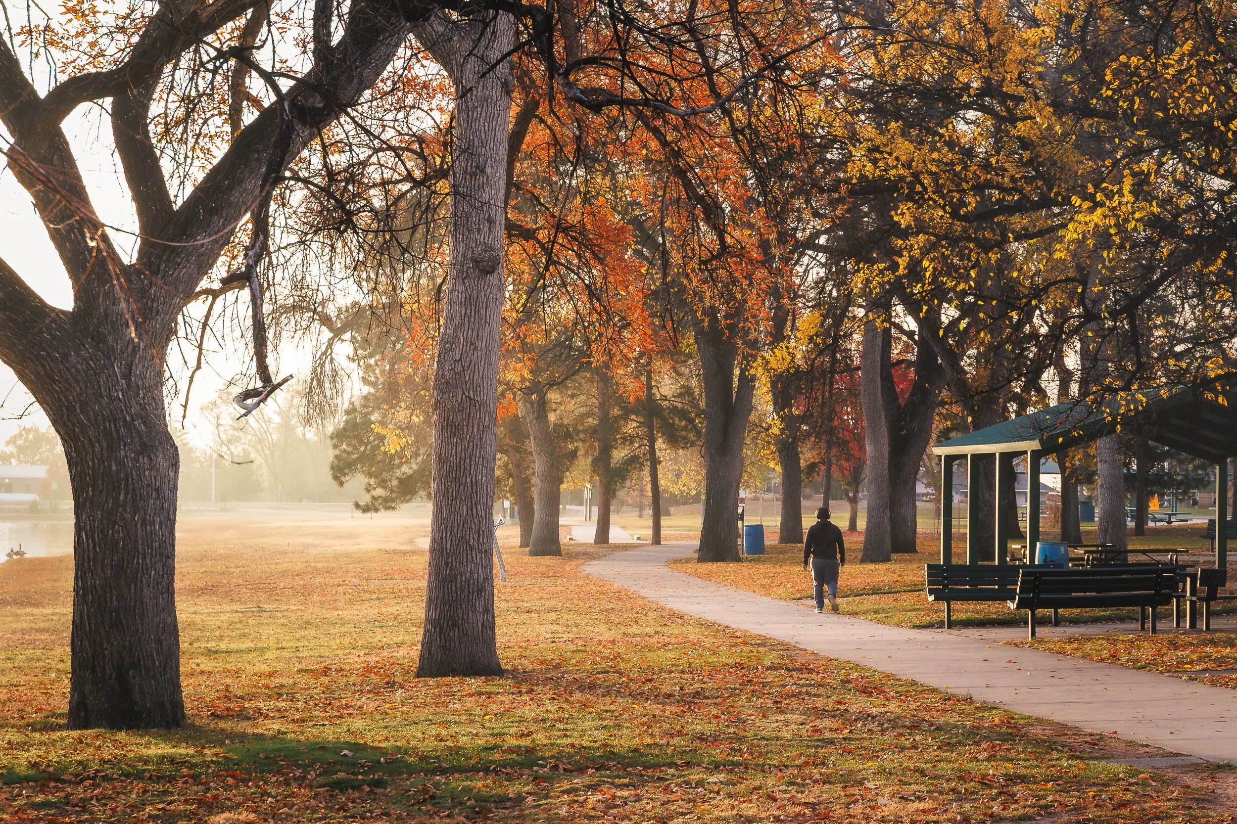 Steve Eller Photography - Portfolio-06.jpg