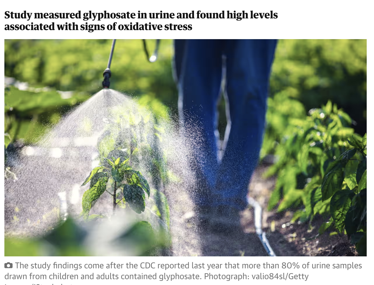 Glyphosate found in high levels in almost everyone