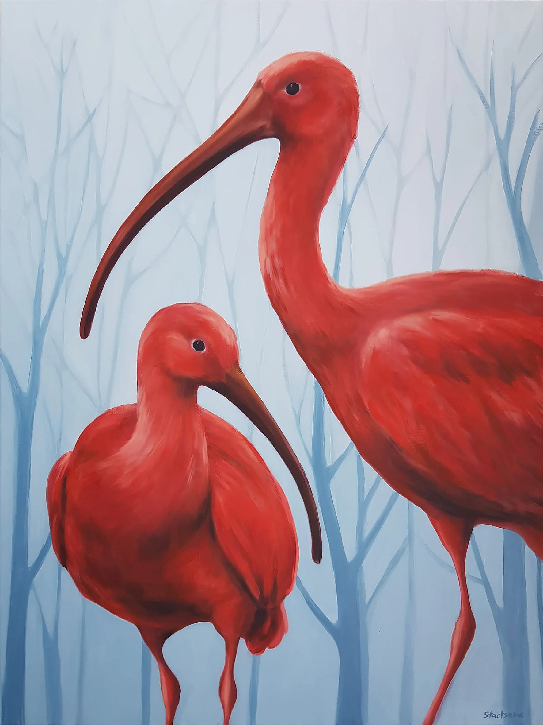 Scarlet Ibis Duo_kl.jpg