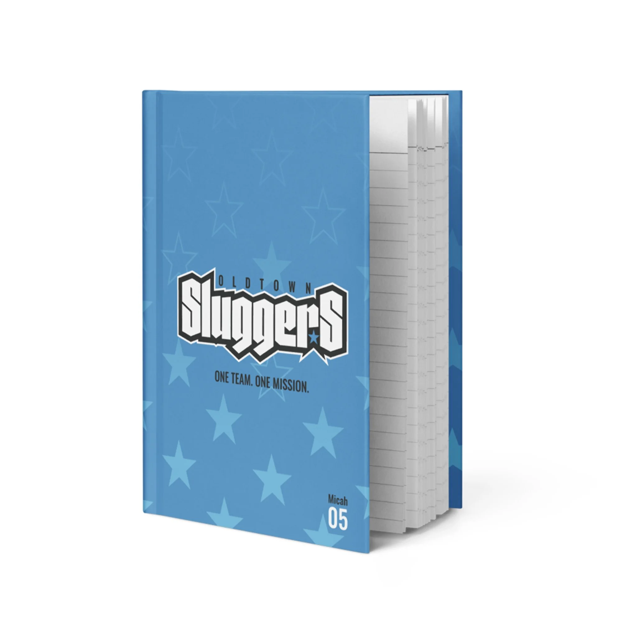 journal angled pic listing.jpg