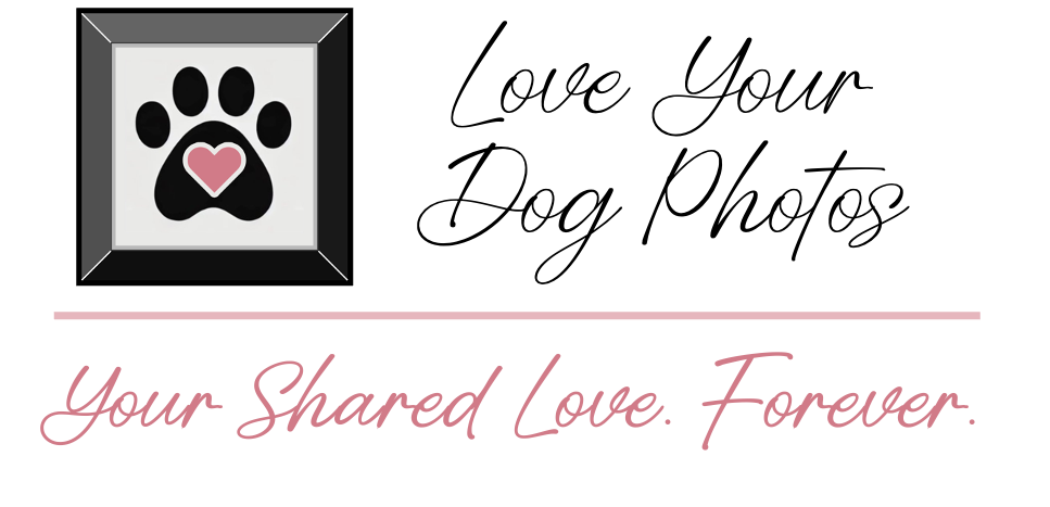 Love Your Dog Photos